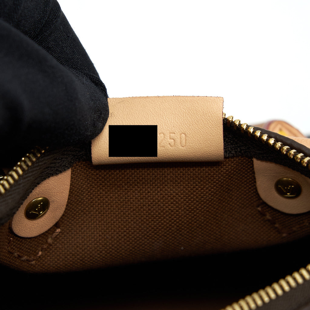 LOUIS VUITTON NANO SPEEDY MONOGRAM CANVAS GHW