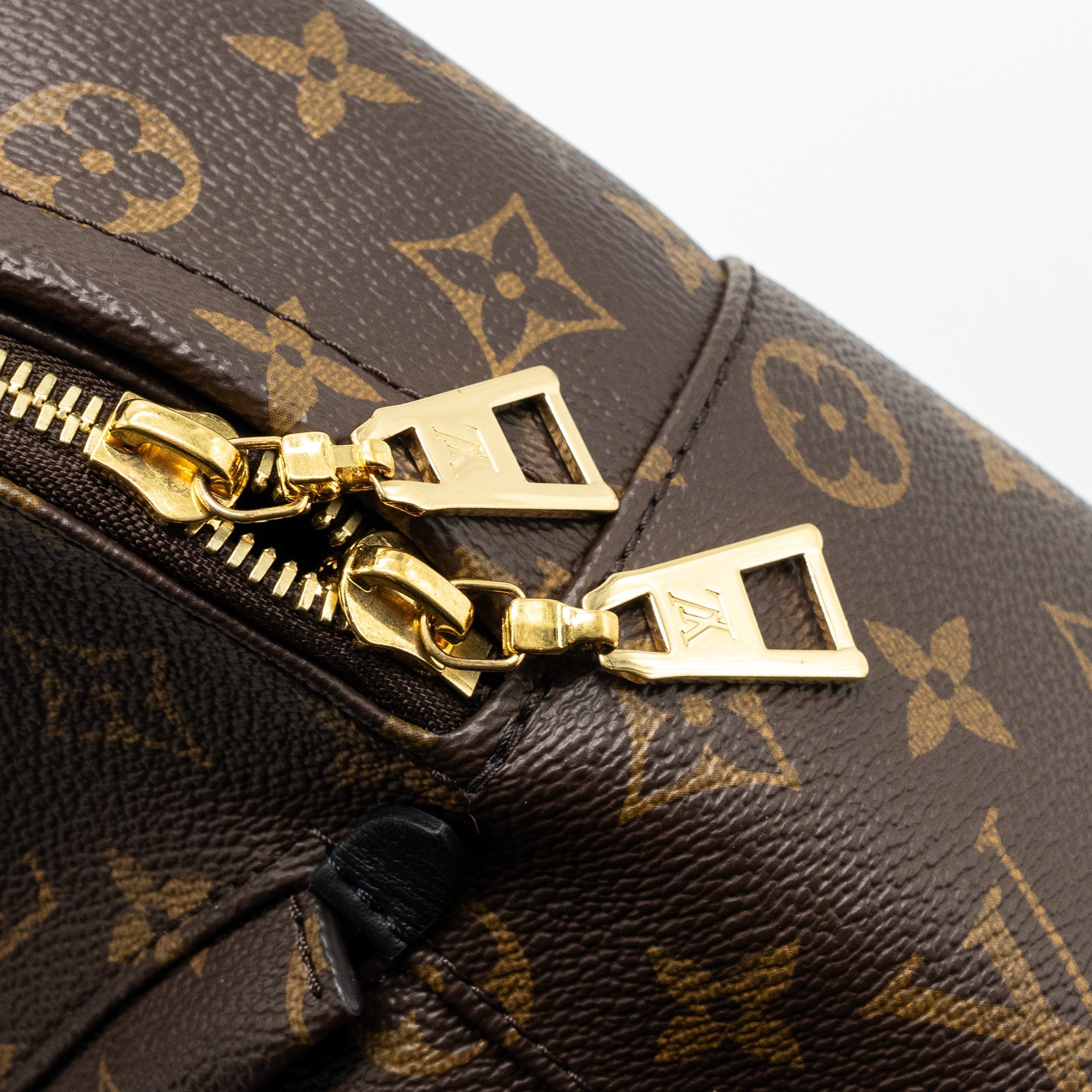 LOUIS VUITTON PALM SPRING BACKPACK PM MONOGRAM CANVAS GHW
