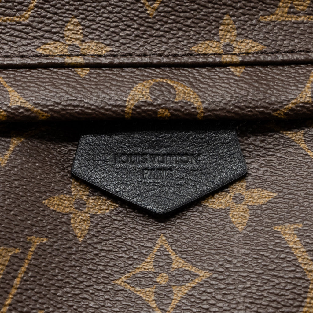 LOUIS VUITTON PALM SPRING BACKPACK PM MONOGRAM CANVAS GHW