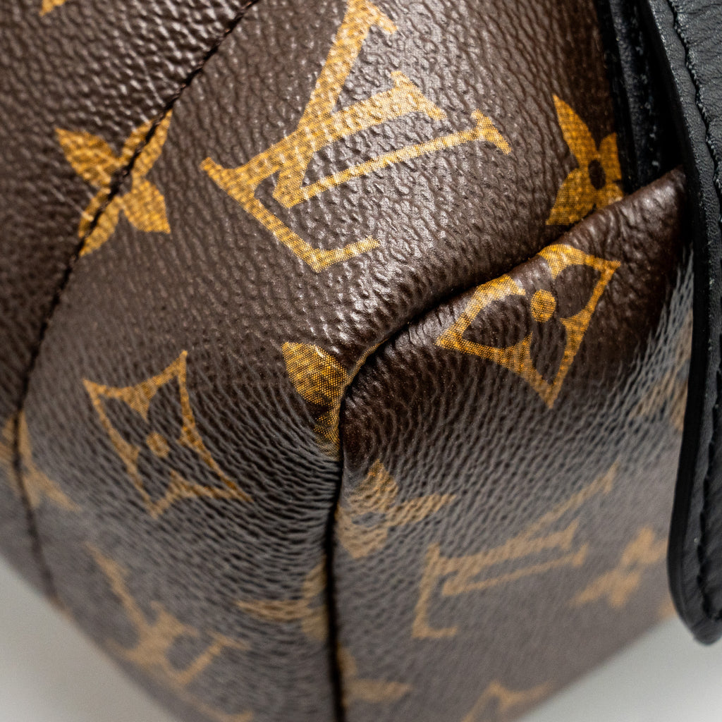 LOUIS VUITTON PALM SPRING BACKPACK MM MONOGRAM CANVAS