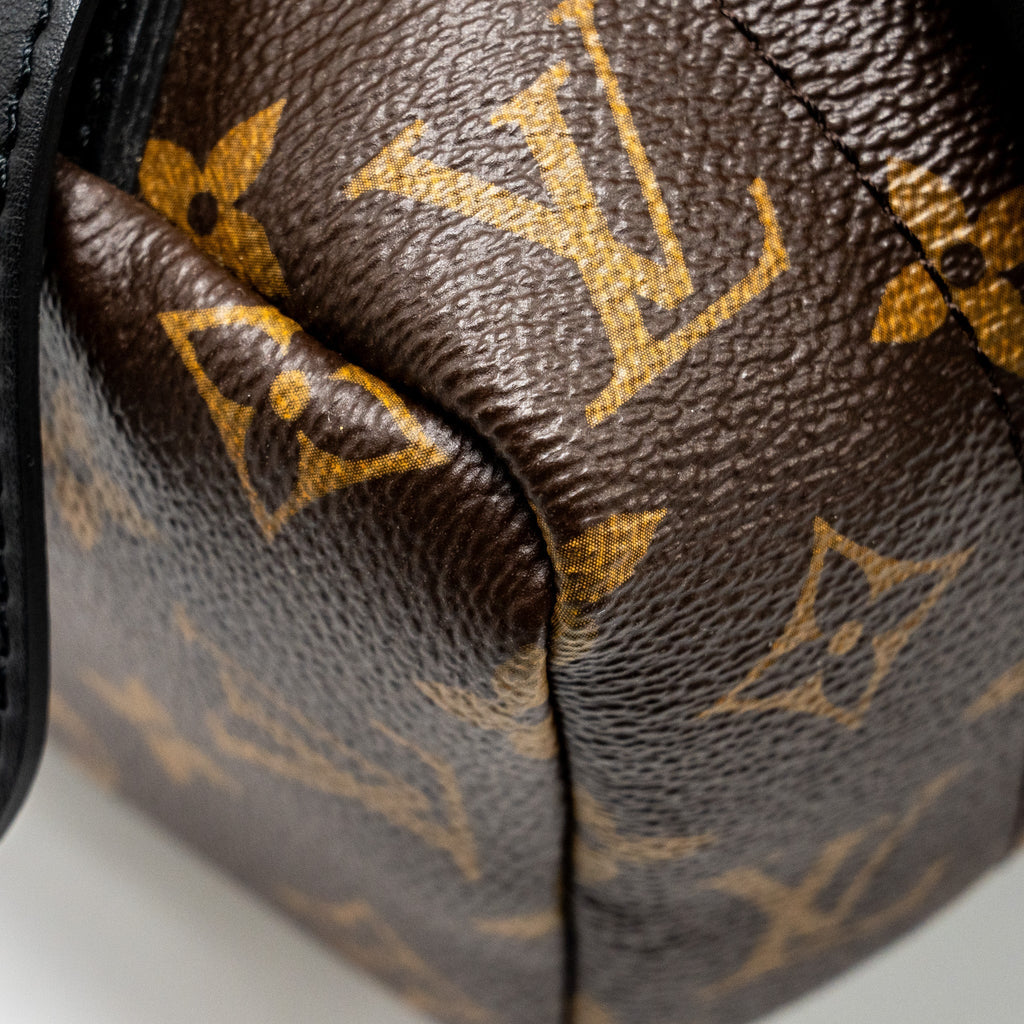 LOUIS VUITTON PALM SPRING BACKPACK MM MONOGRAM CANVAS
