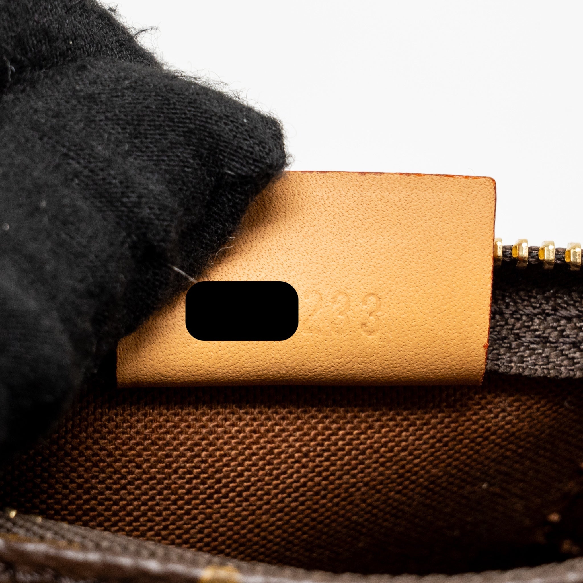 LOUIS VUITTON NANO SPEEDY MONOGRAM CANVAS GHW