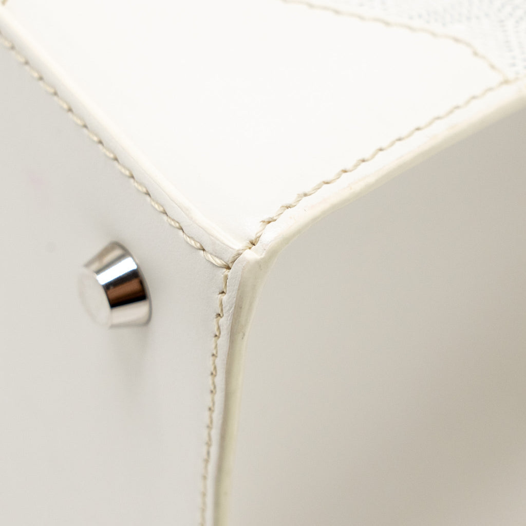 GOYARD STRUCTURED SAIGON PM CALFSKIN / CANVAS WHITE SHW