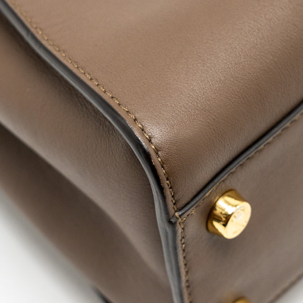 FENDI SMALL PEEKABOO ICONIC BAG CALFSKIN BROWN GHW