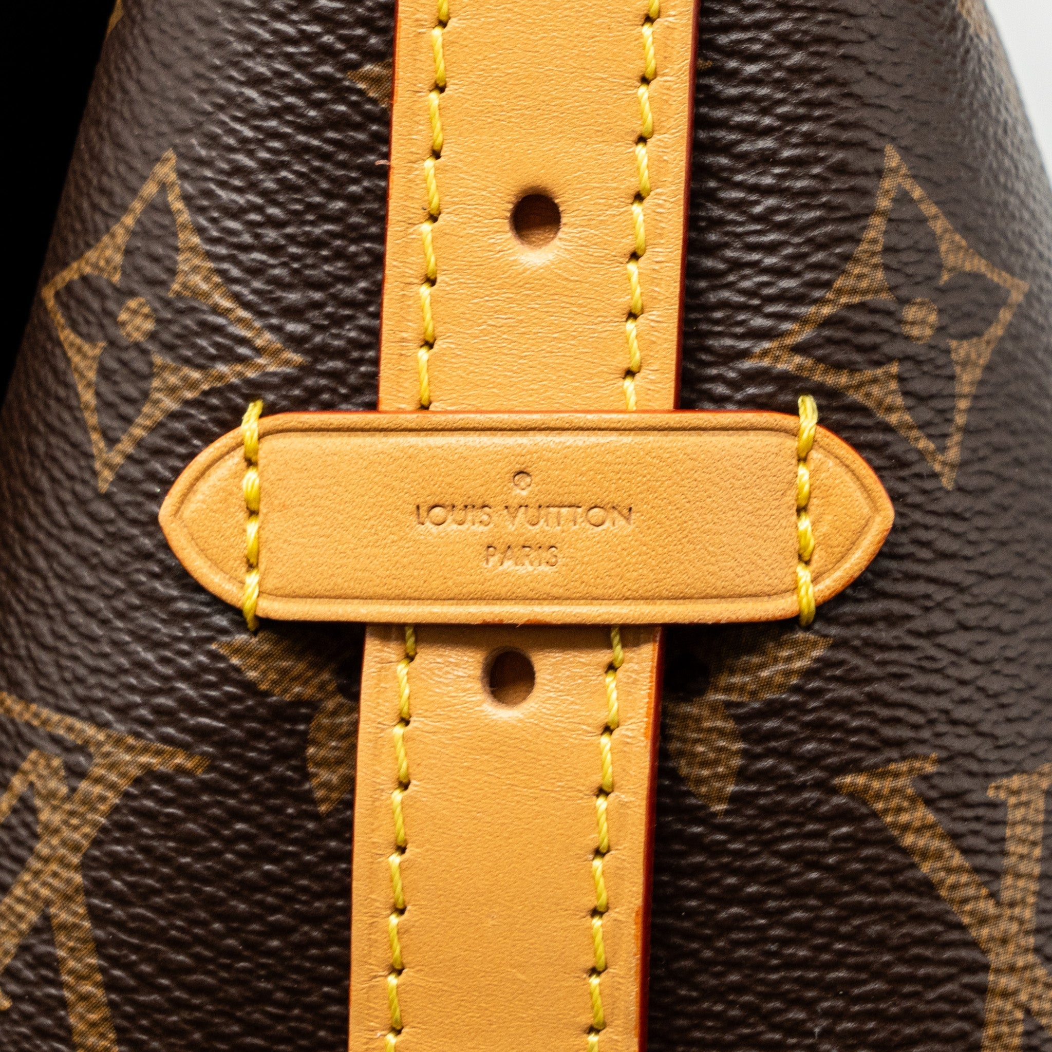 LOUIS VUITTON CARRYALL PM MONOGRAM CANVAS GHW(NEW VERSION)