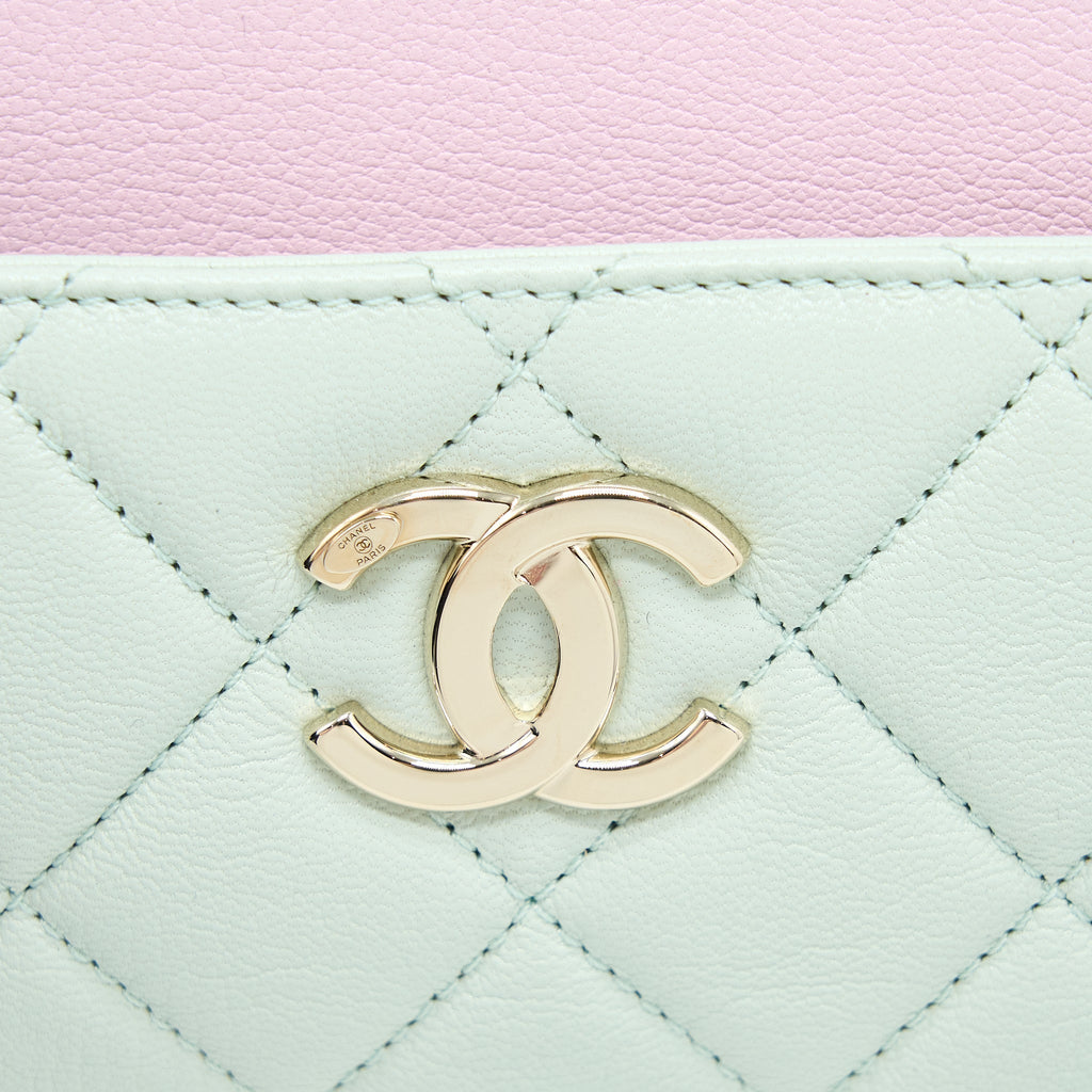 CHANEL SMALL CAMERA CASE TRICOLOUR GOATSKIN GREEN BLUE PINK LGHW