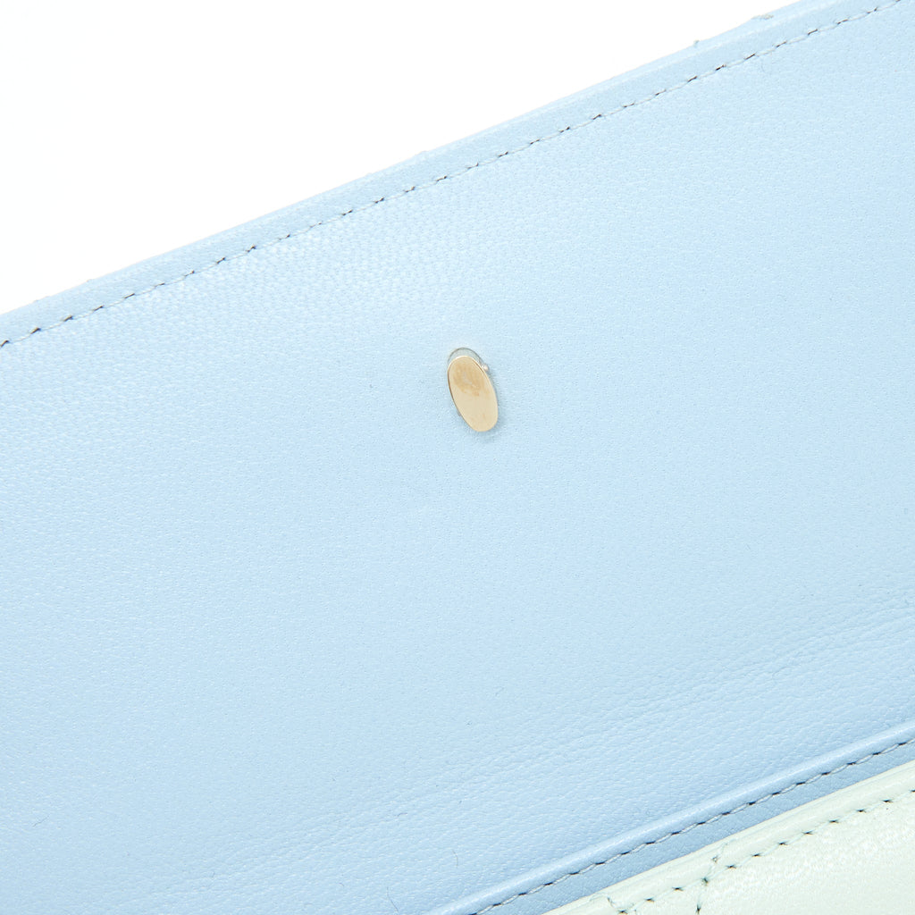 CHANEL SMALL CAMERA CASE TRICOLOUR GOATSKIN GREEN BLUE PINK LGHW