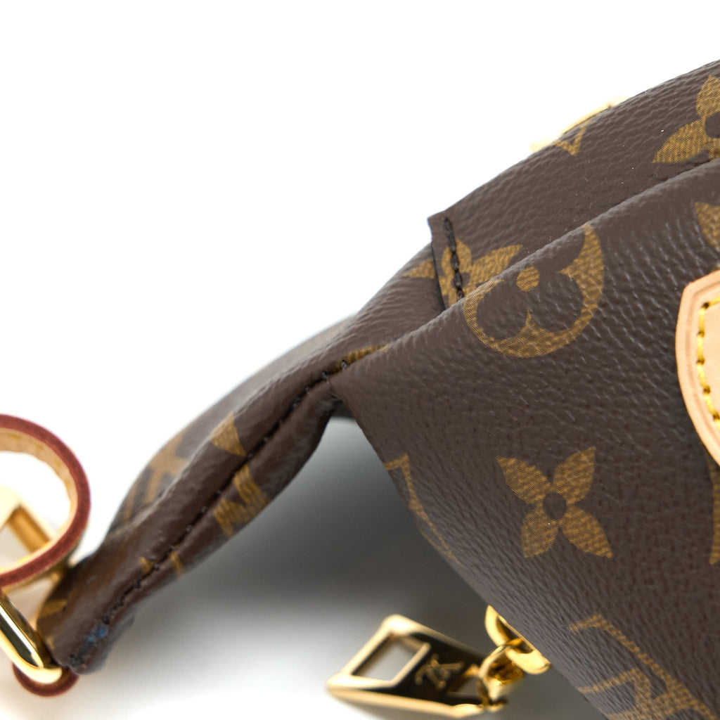 LOUIS VUITTON BUMBAG MONOGRAM CANVAS GHW
