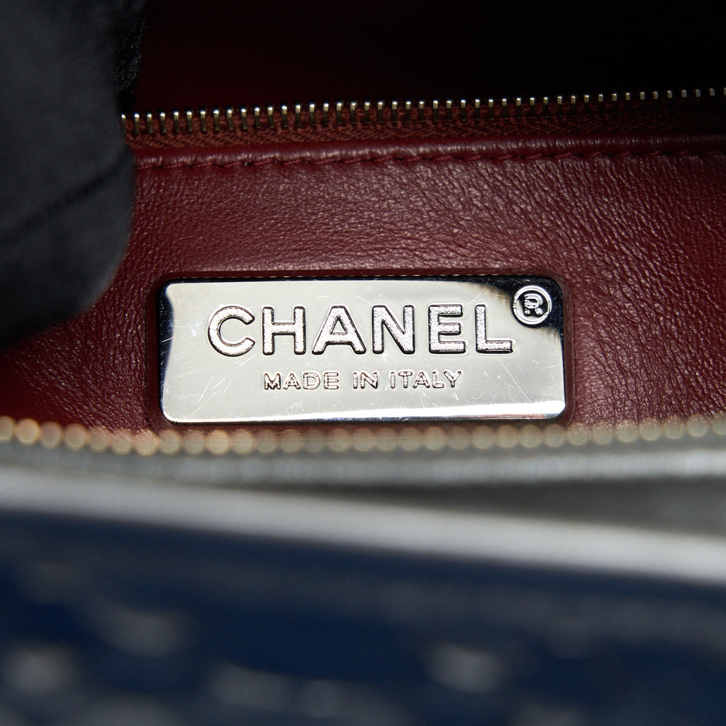 CHANEL PYTHON LEATHER GABRIELLE HOBO BAG METALLIC GREY