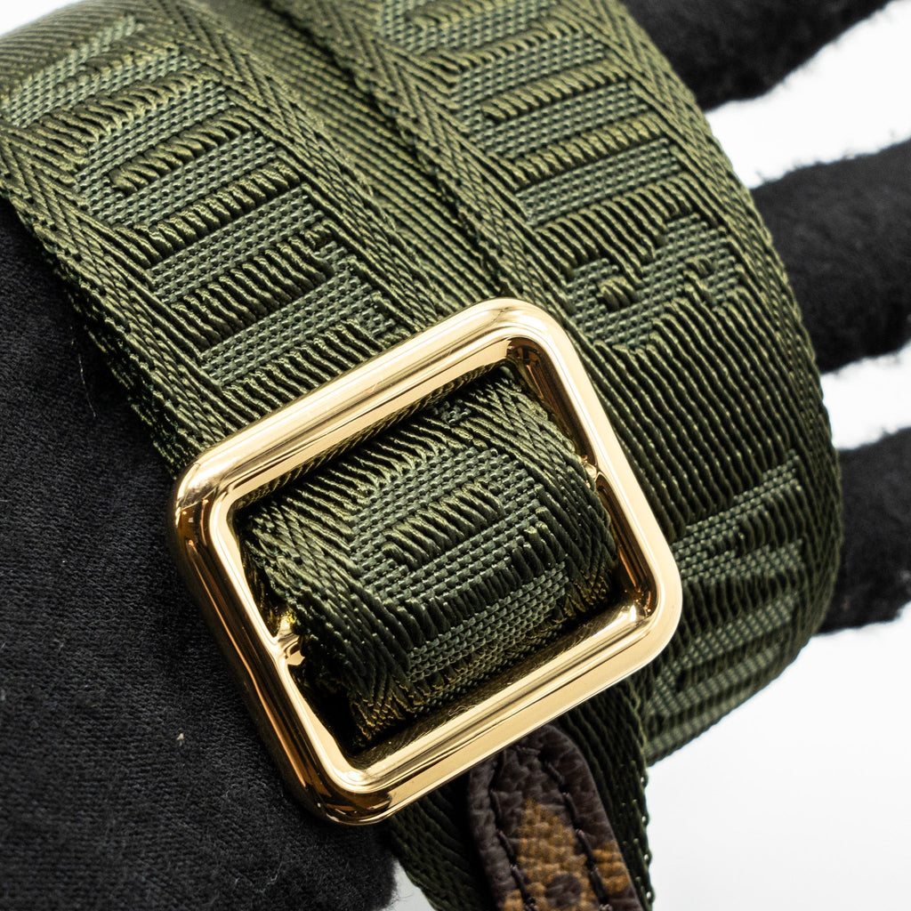 LOUIS VUITTON FELICIE STRAP & GO MONOGRAM CANVAS GHW (NEW VERSION)