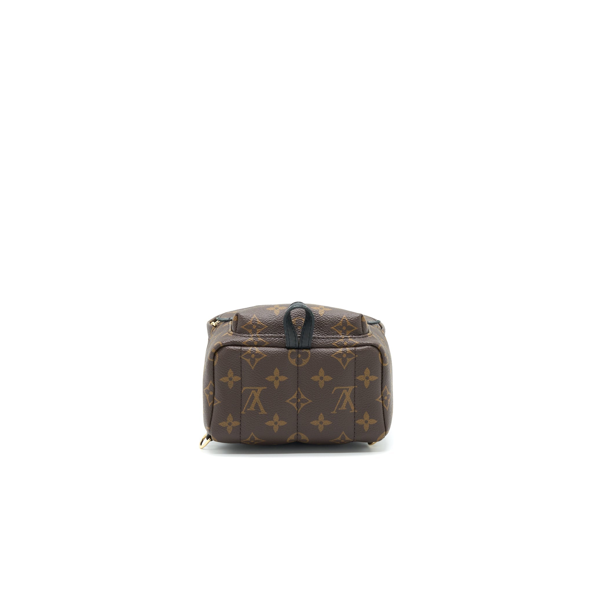 LOUIS VUITTON PALM SPRINGS MINI BACKPACK OLD VERSION
