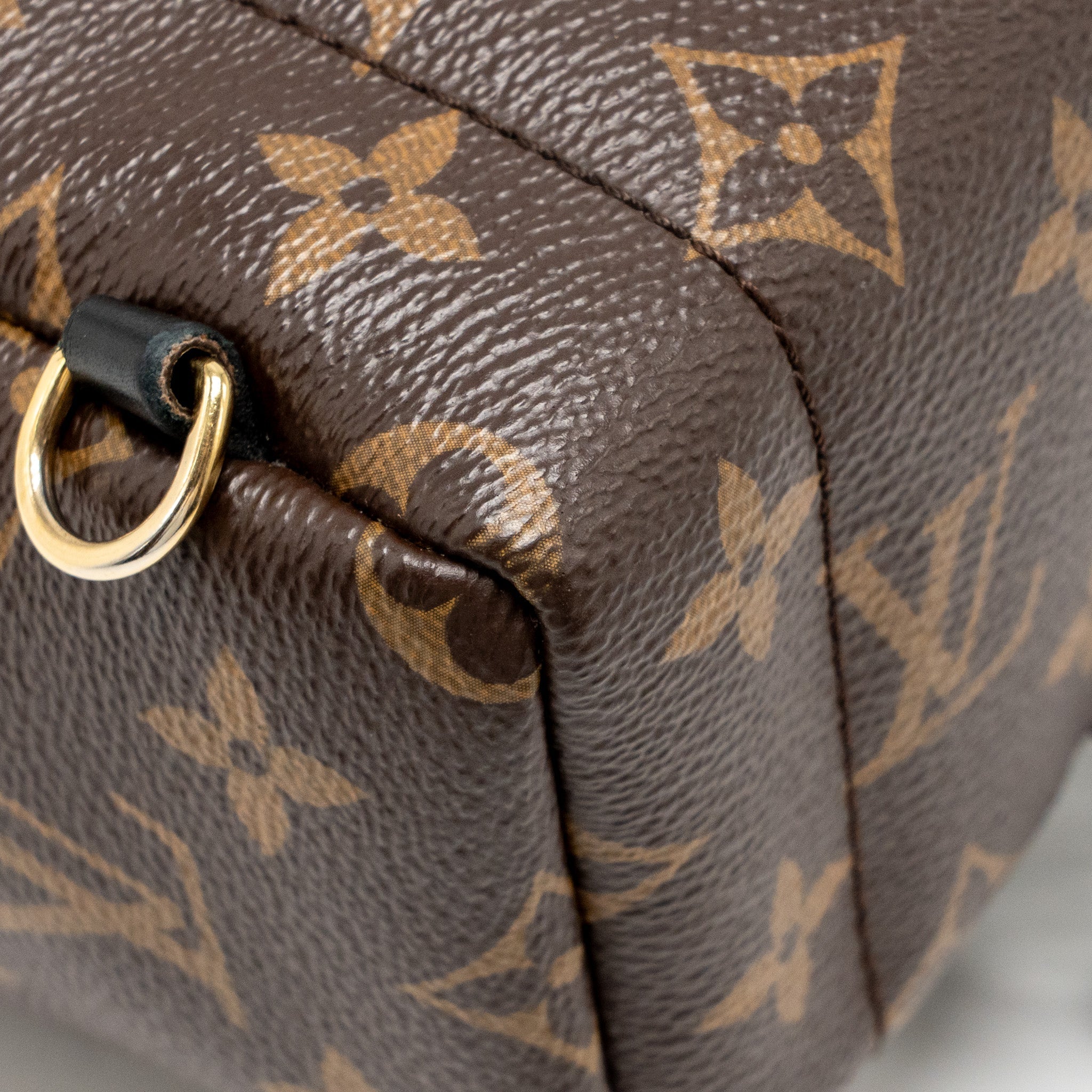 LOUIS VUITTON PALM SPRINGS MINI MONOGRAM CANVAS GHW