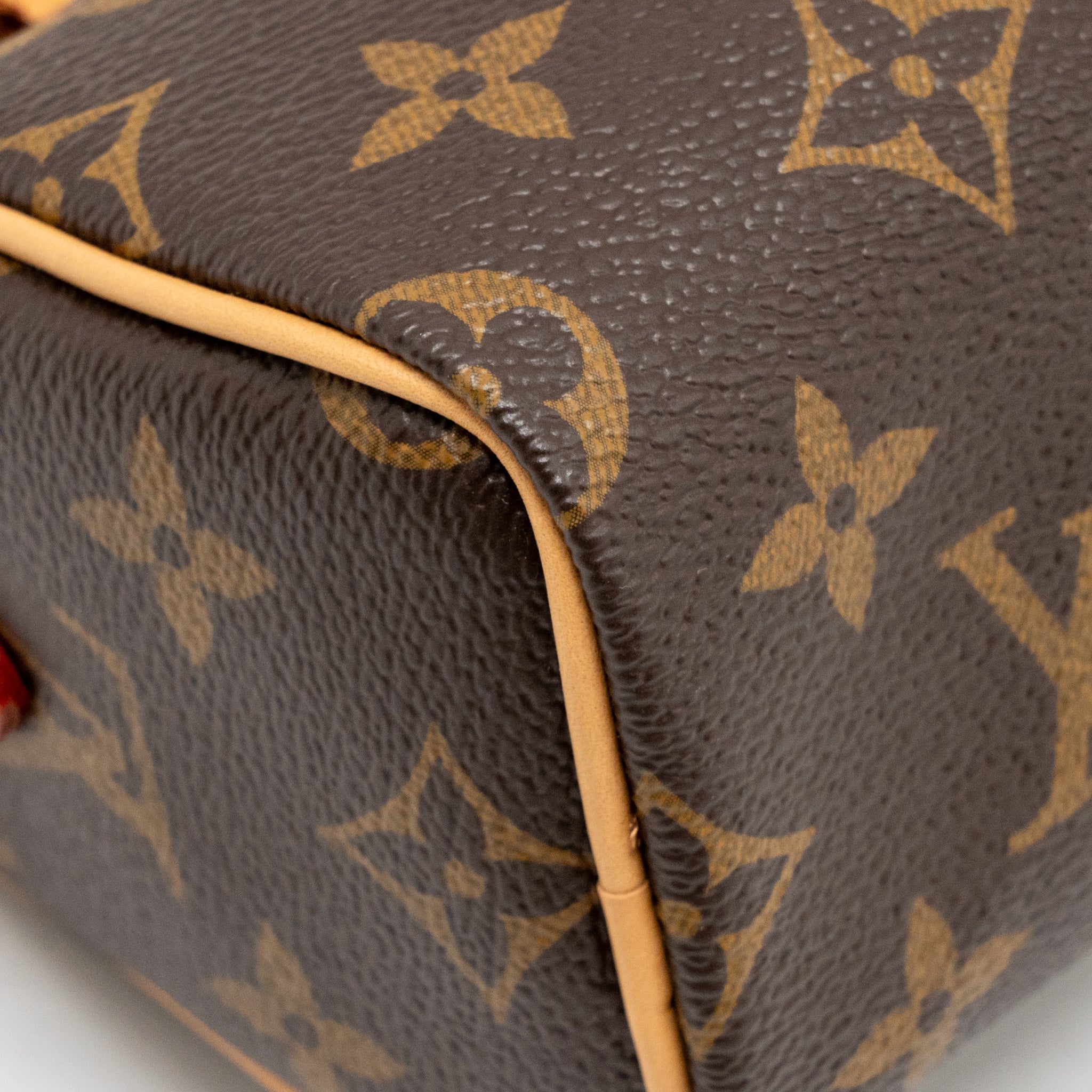 LOUIS VUITTON NANO SPEEDY MONOGRAM CANVAS GHW