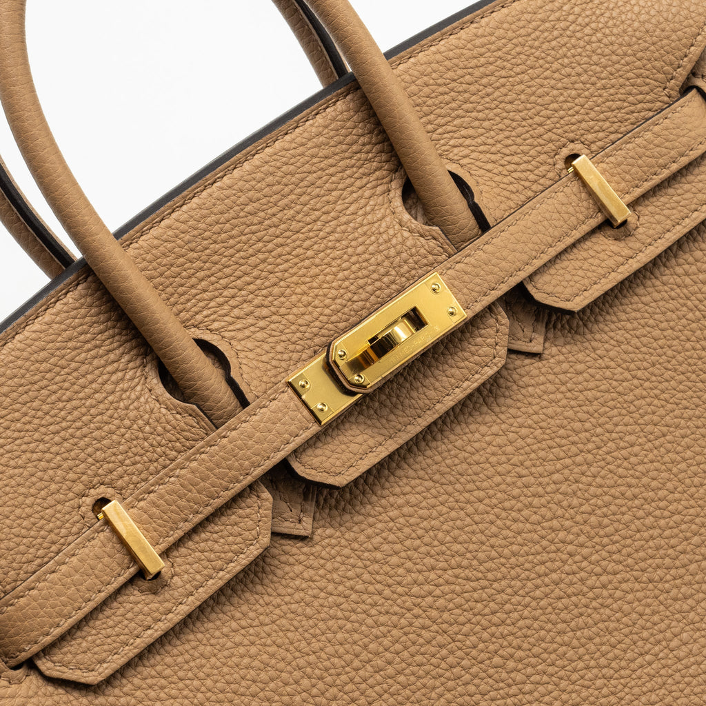 HERMES BIRKIN 25 TOGO CHAI GHW