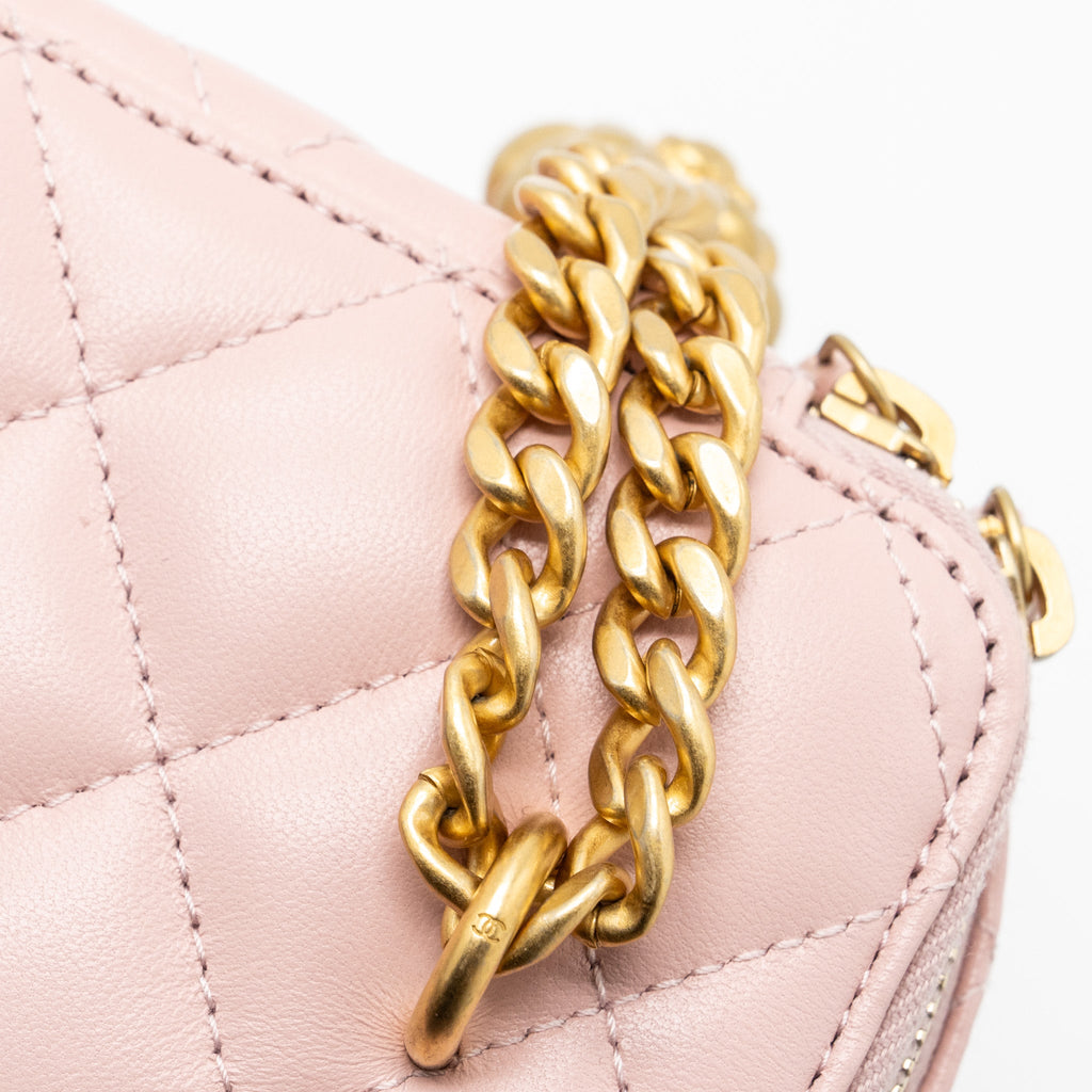 CHANEL LONG VANITY CASE CAMELLIA CHAIN LAMBSKIN  LIGHT PINK GHW (MICROCHIP)