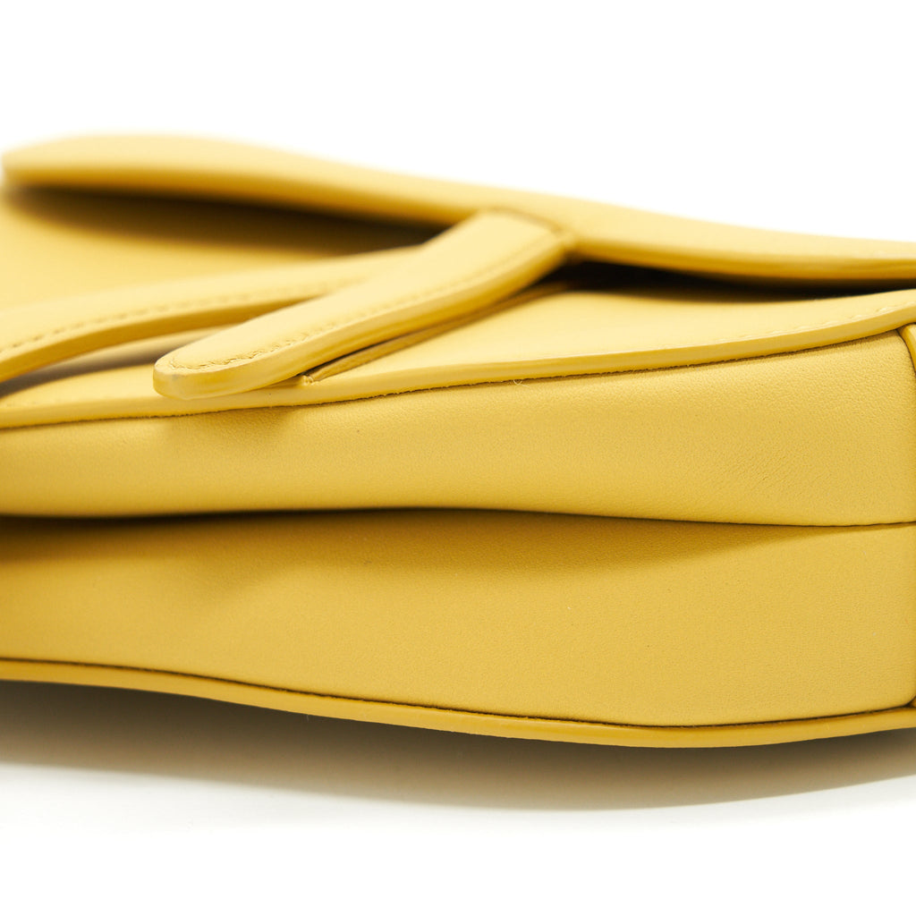 CHRISTIAN DIOR ULTRA-MATTE MINI SADDLE BAG CALFSKIN