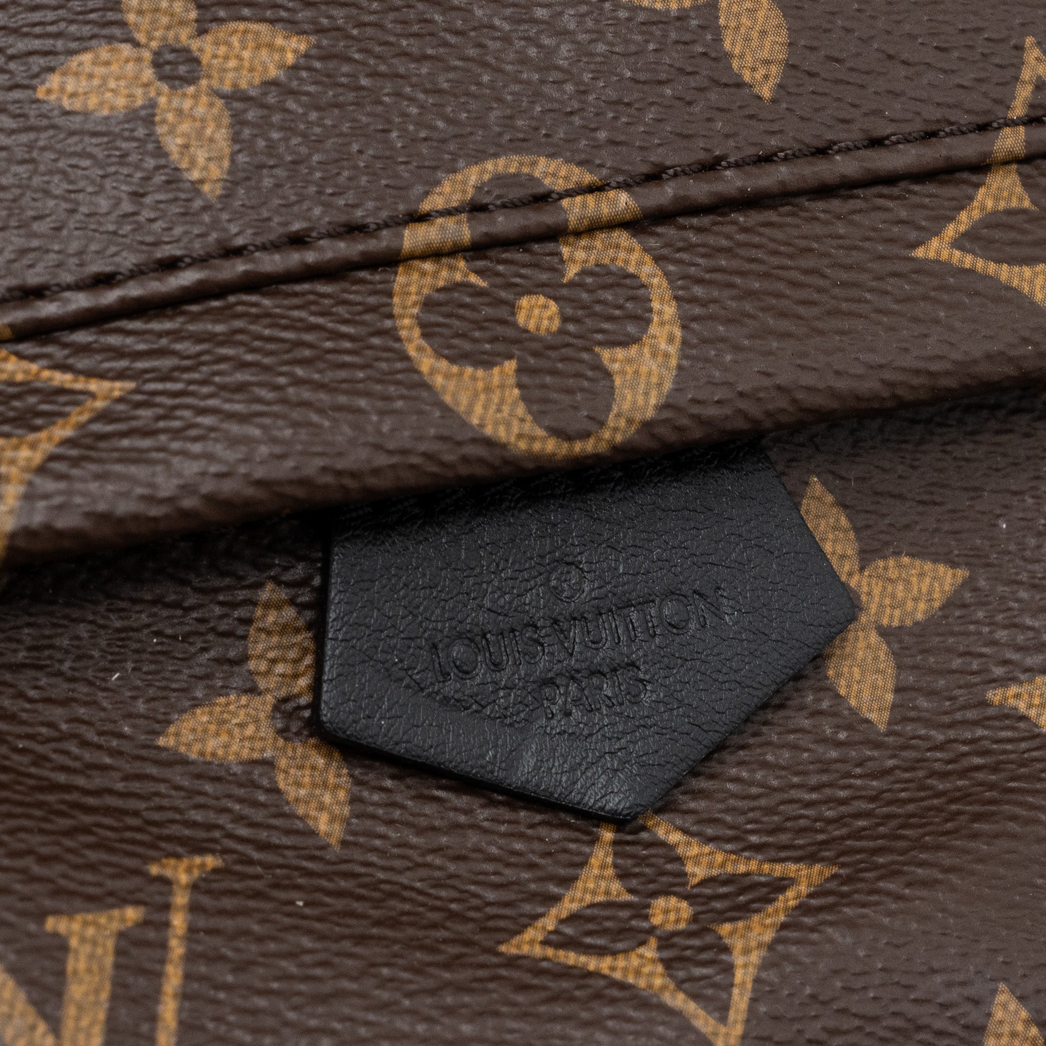 LOUIS VUITTON PALM SPRING MINI BACKPACK MONOGRAM CANVAS GHW (NEW VERSION)