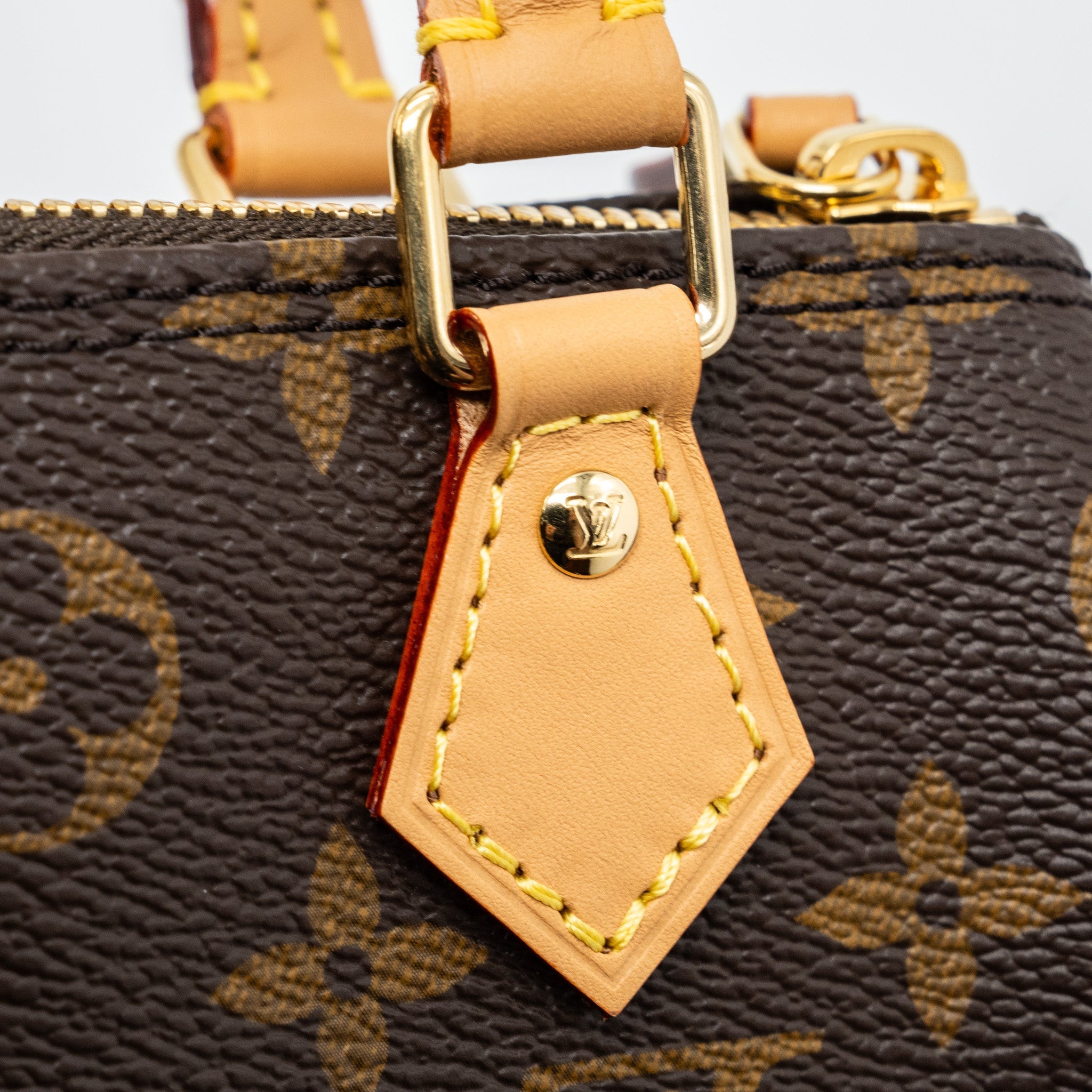 LOUIS VUITTON NANO SPEEDY MONOGRAM CANVAS GHW