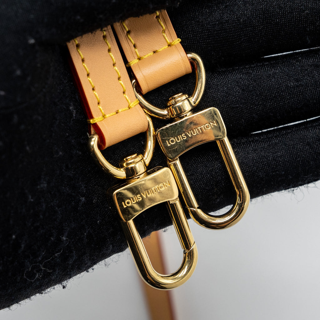 LOUIS VUITTON NANO SPEEDY MONOGRAM CANVAS GHW