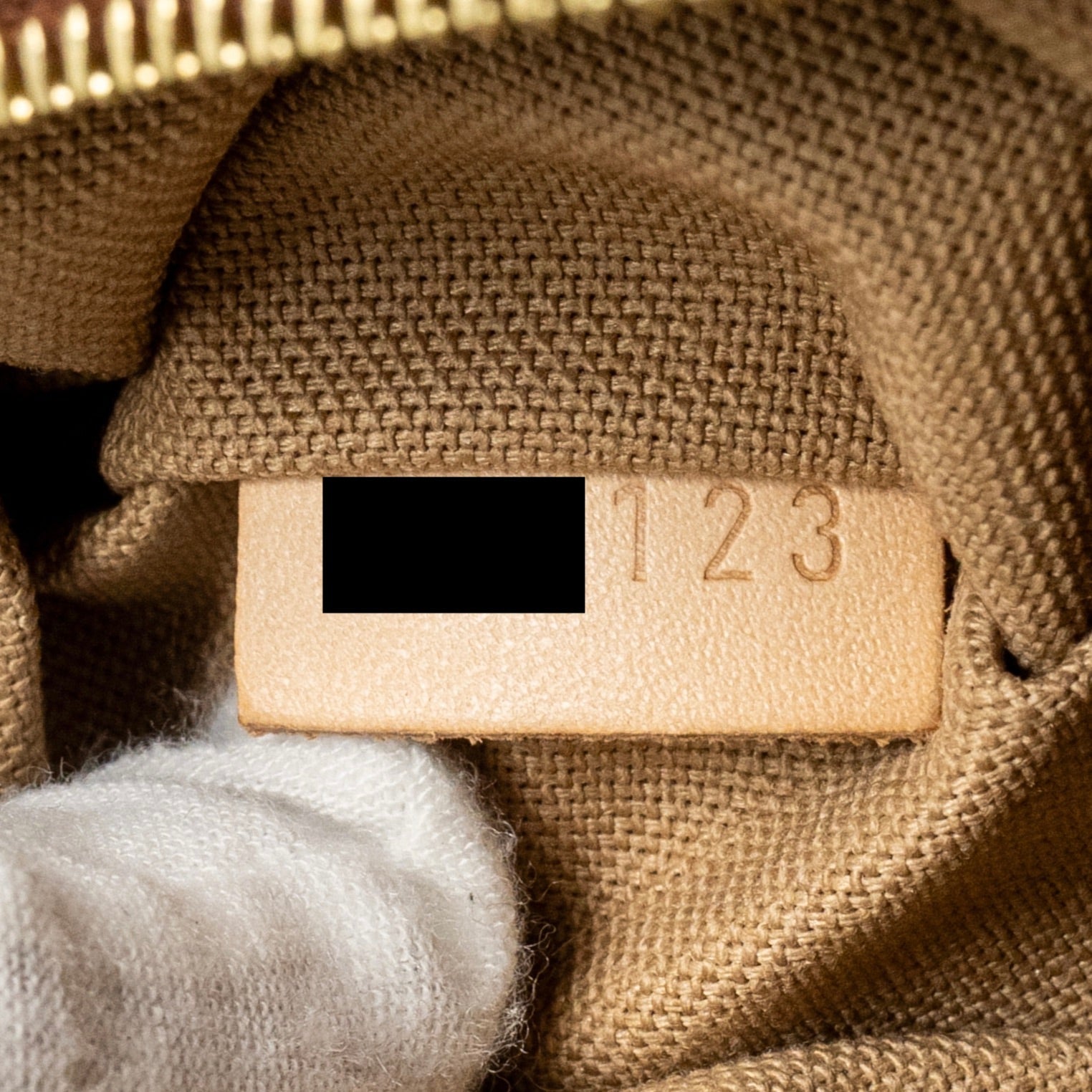 LOUIS VUITTON DELIGHTFUL TOTE BAG MONOGRAM CANVAS GHW
