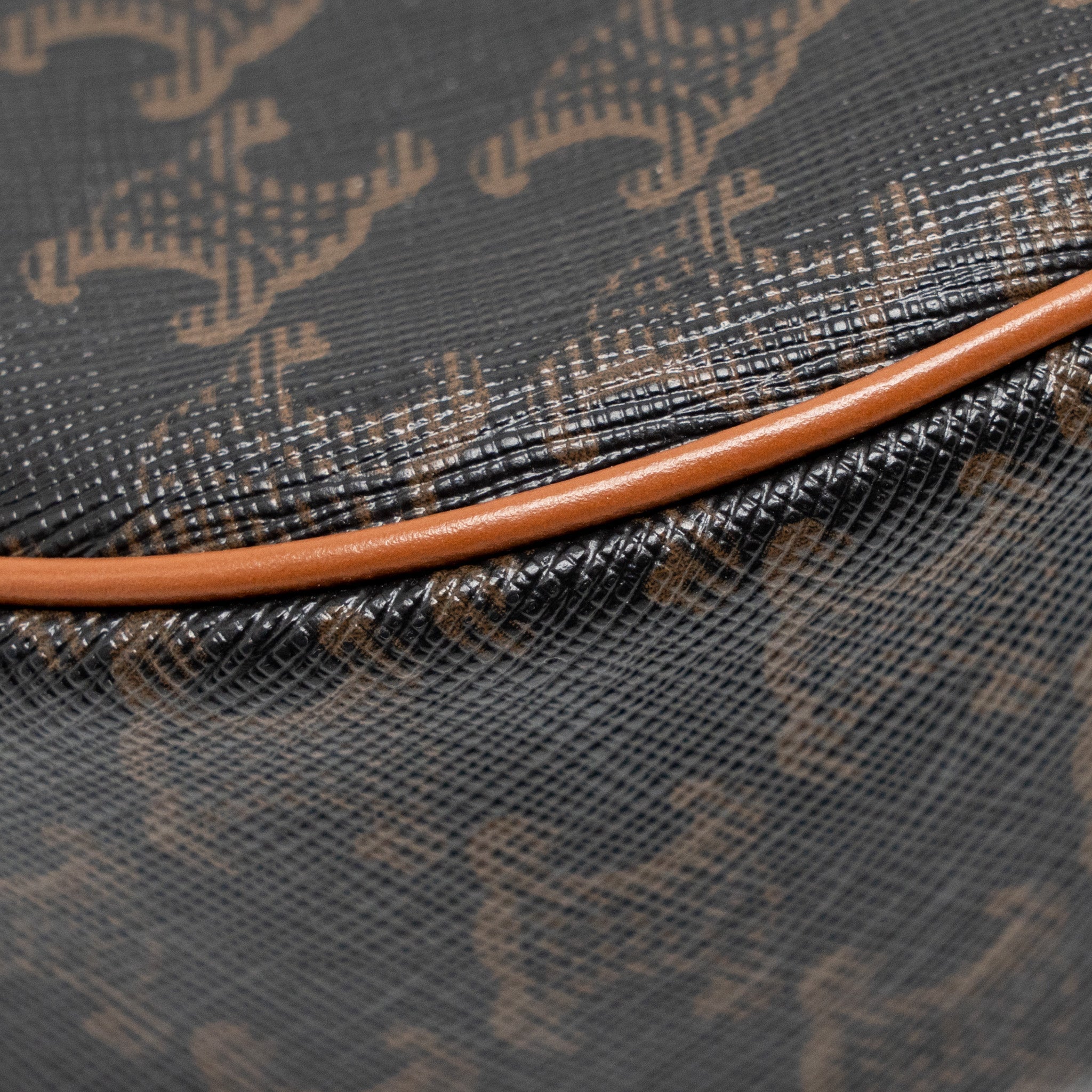 CELINE AVA BAG TRIOMPHE CANVAS/ CALFSKIN TAN GHW