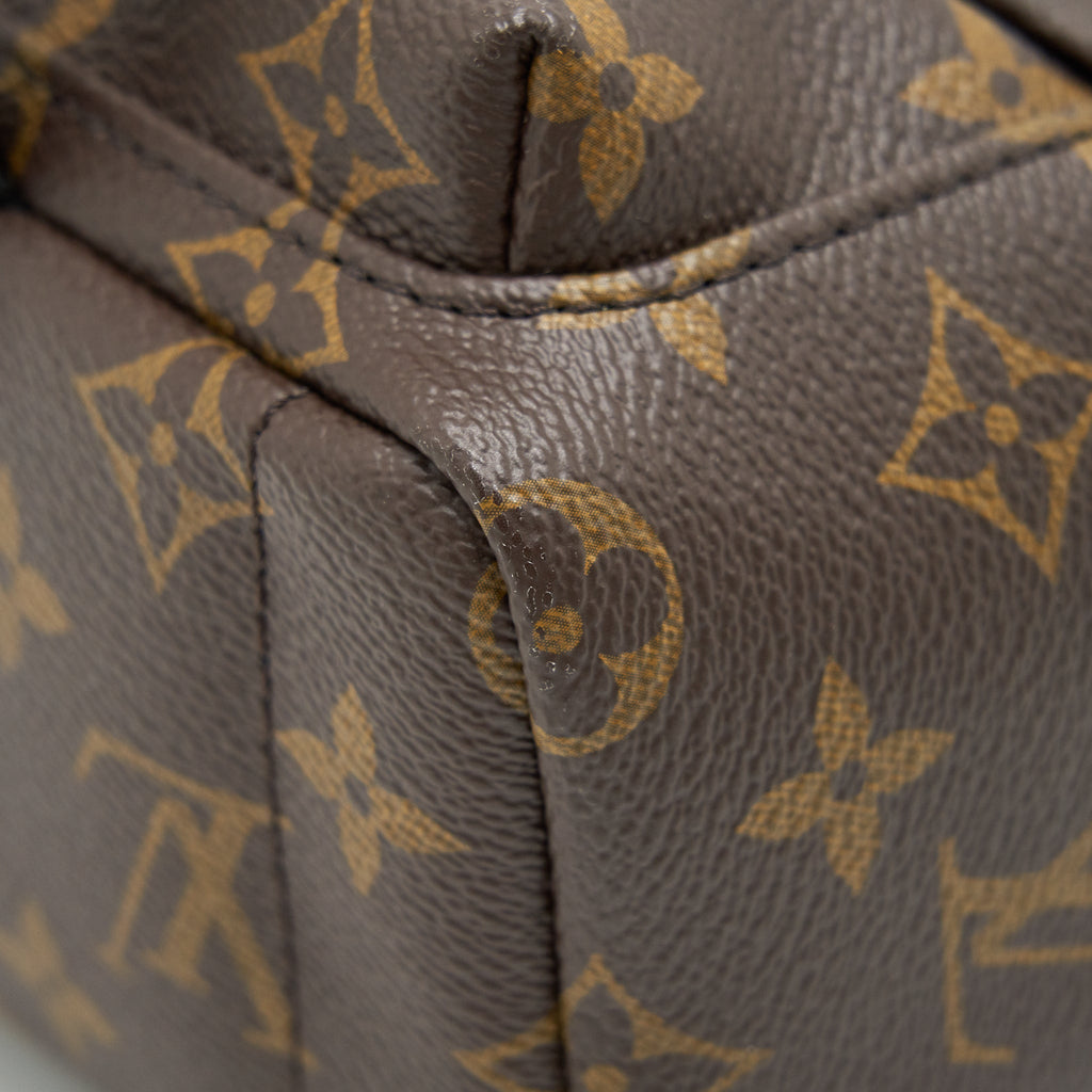 LOUIS VUITTON PALM SPRINGS MINI BACKPACK OLD VERSION
