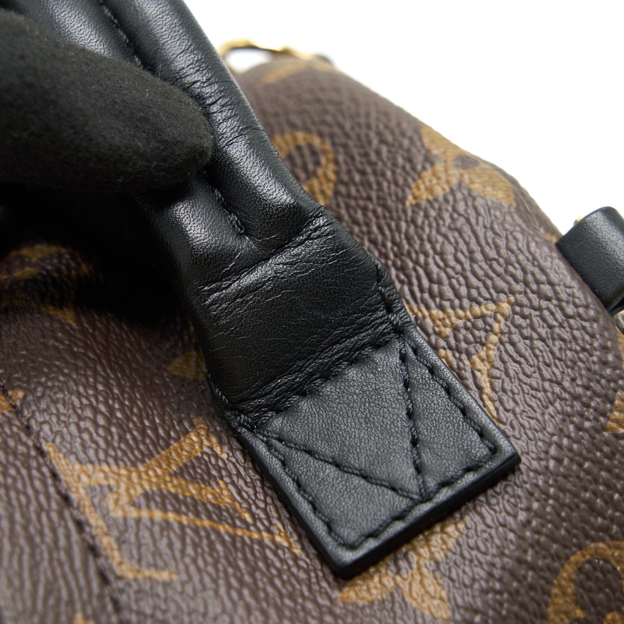 LOUIS VUITTON PALM SPRINGS MINI BACKPACK OLD VERSION
