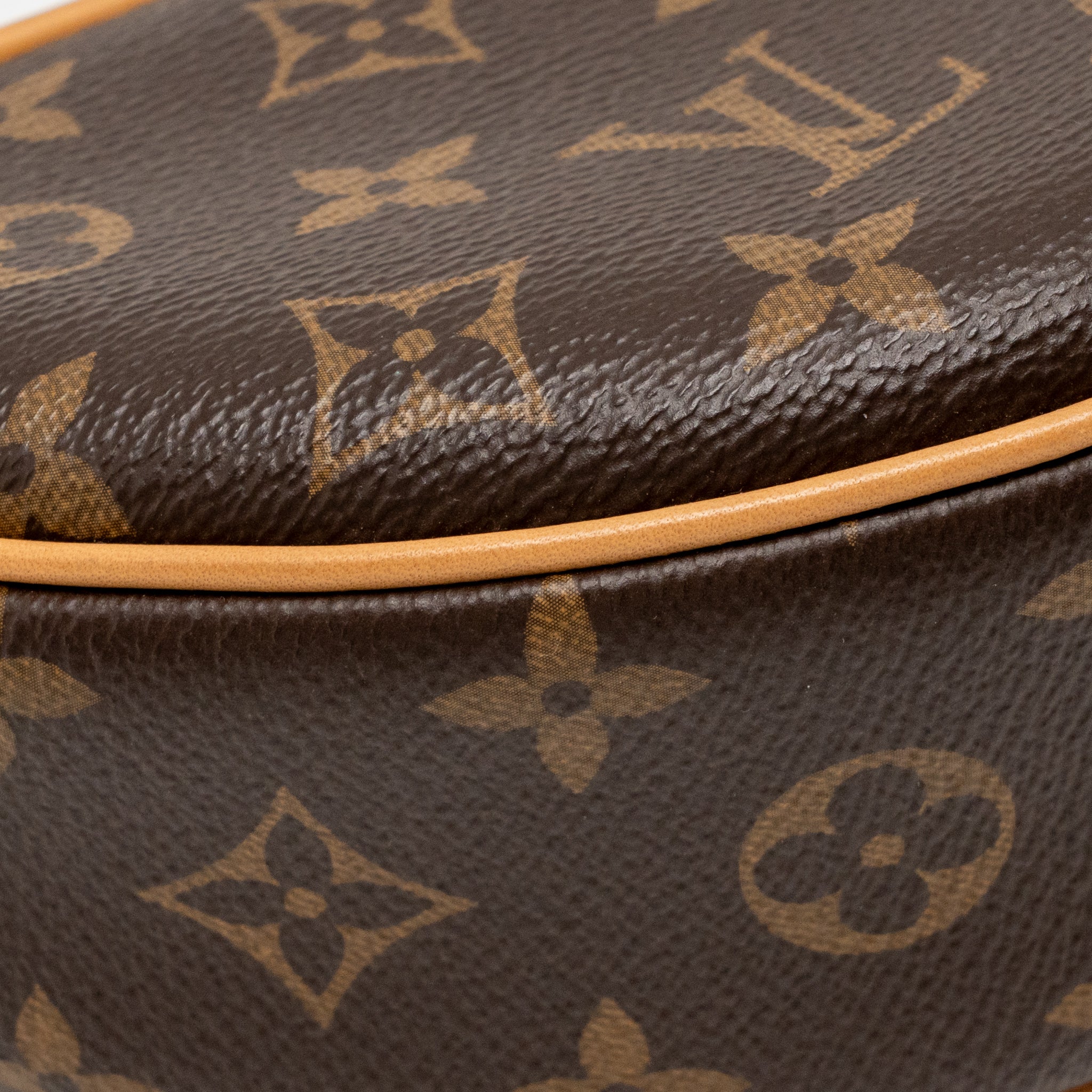 LOUIS VUITTON LOOP BAG MONOGRAM CANVAS GHW