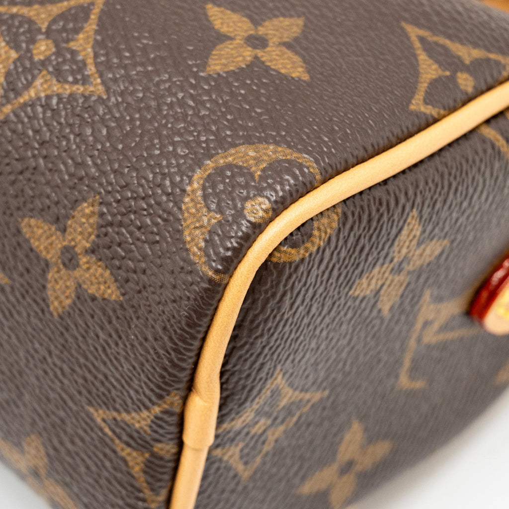 LOUIS VUITTON NANO SPEEDY MONOGRAM CANVAS GHW