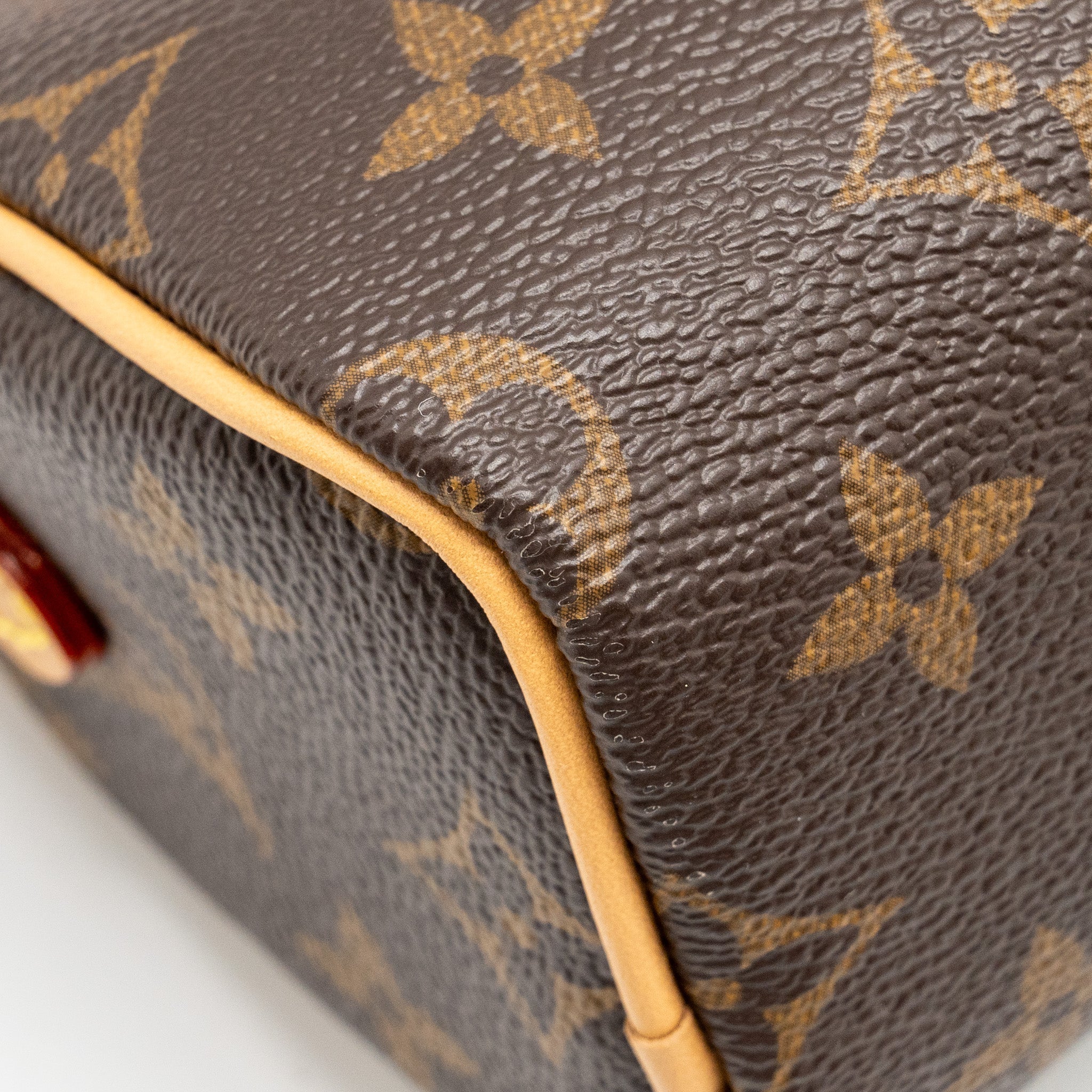 LOUIS VUITTON NANO SPEEDY MONOGRAM CANVAS GHW