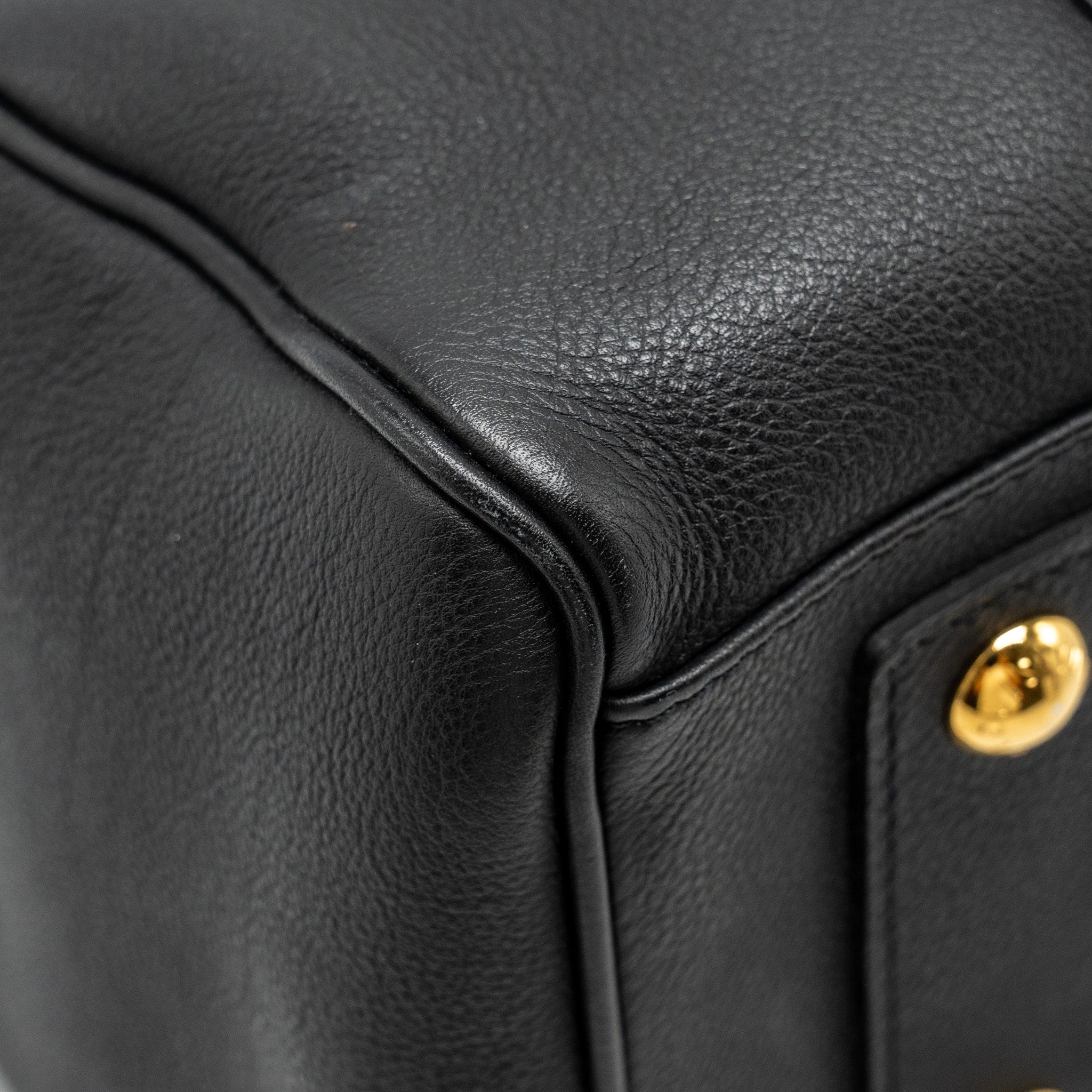 LOUIS VUITTON PARNASSEA SOFIA COPPOLA BAG PM CALFSKIN BLACK GHW