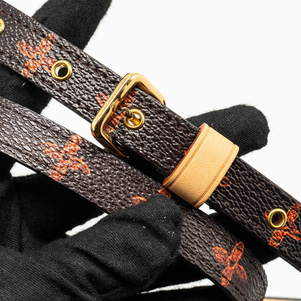 LOUIS VUITTON CATOGRAM PANAME SET MONOGRAM CANVAS MULTICOLOUR GHW