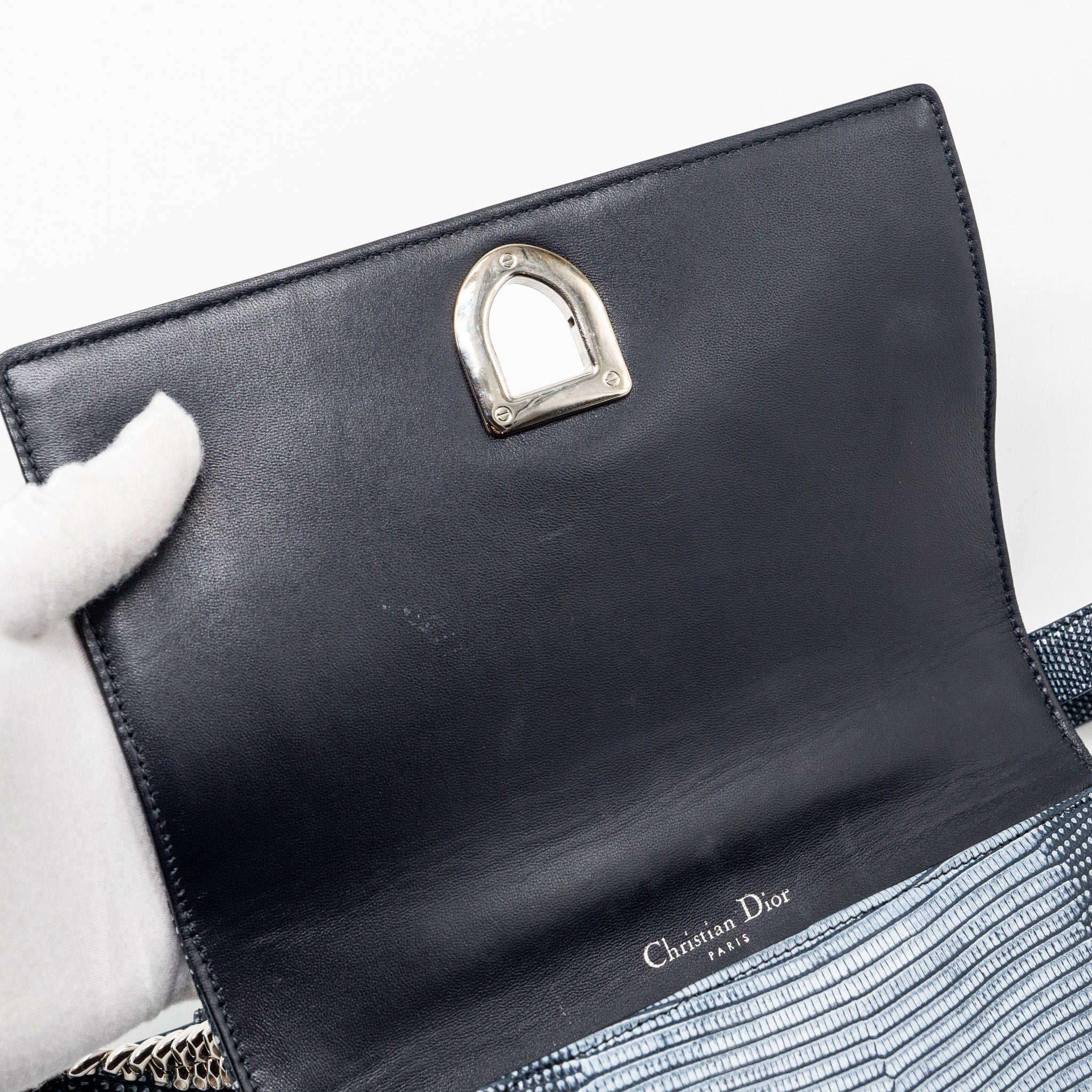 DIOR SMALL DIORAMA LIZARD SILVER/MULTICOLOUR SHW