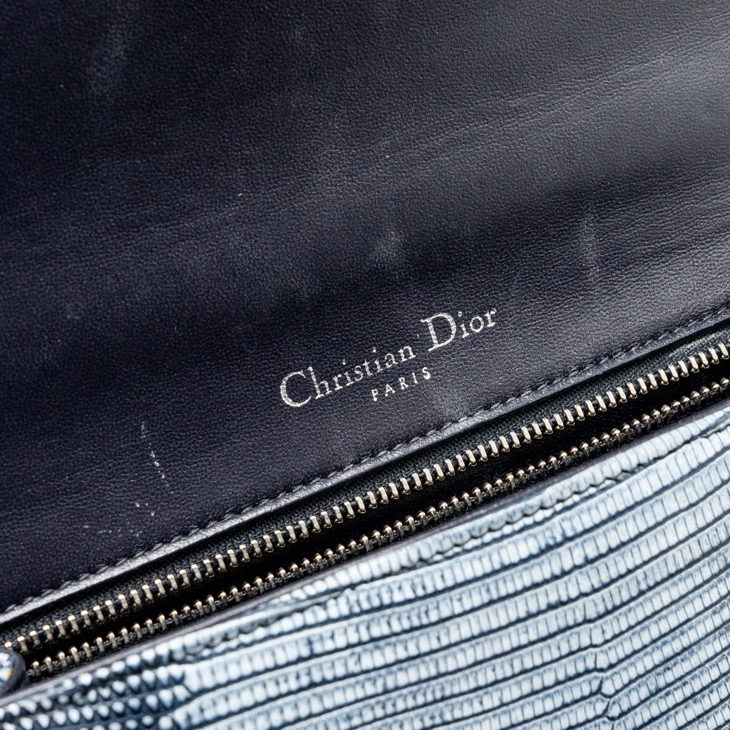 DIOR SMALL DIORAMA LIZARD SILVER/MULTICOLOUR SHW