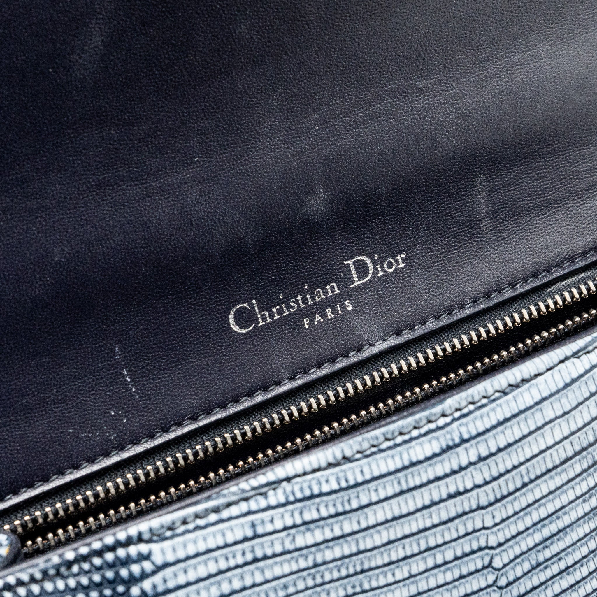 DIOR SMALL DIORAMA LIZARD SILVER/MULTICOLOUR SHW