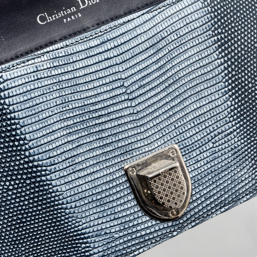 DIOR SMALL DIORAMA LIZARD SILVER/MULTICOLOUR SHW