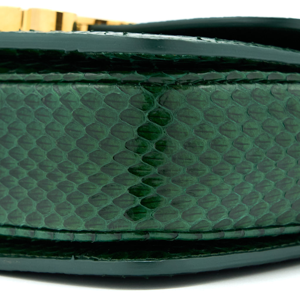 CELINE TRIOMPHE BAG WATER SNAKE LEATHER GREEN GHW