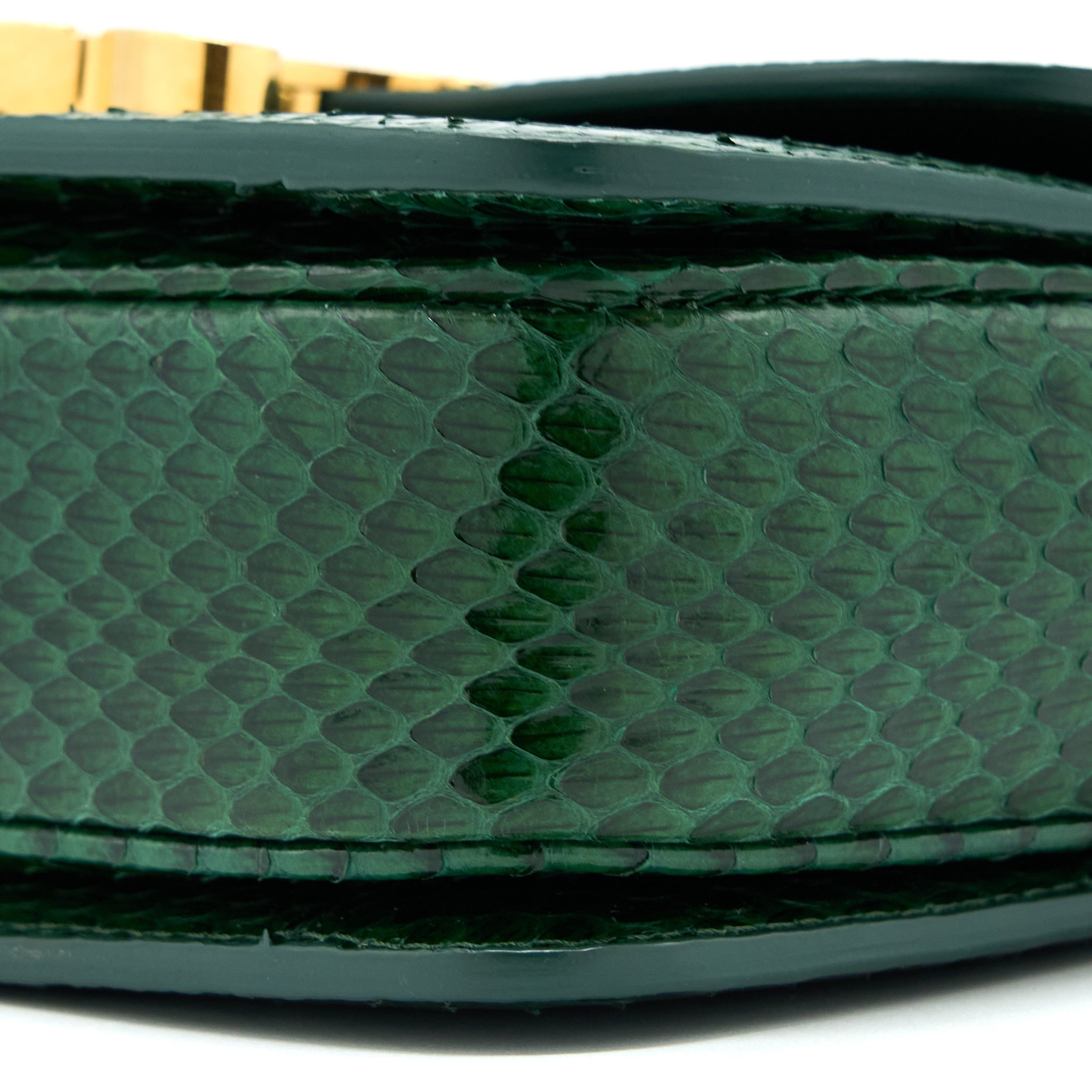 CELINE TRIOMPHE BAG WATER SNAKE LEATHER GREEN GHW
