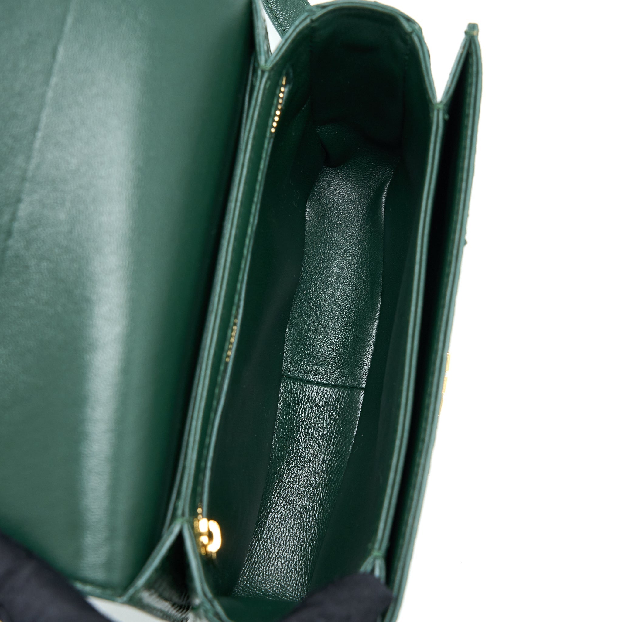 CELINE TRIOMPHE BAG WATER SNAKE LEATHER GREEN GHW