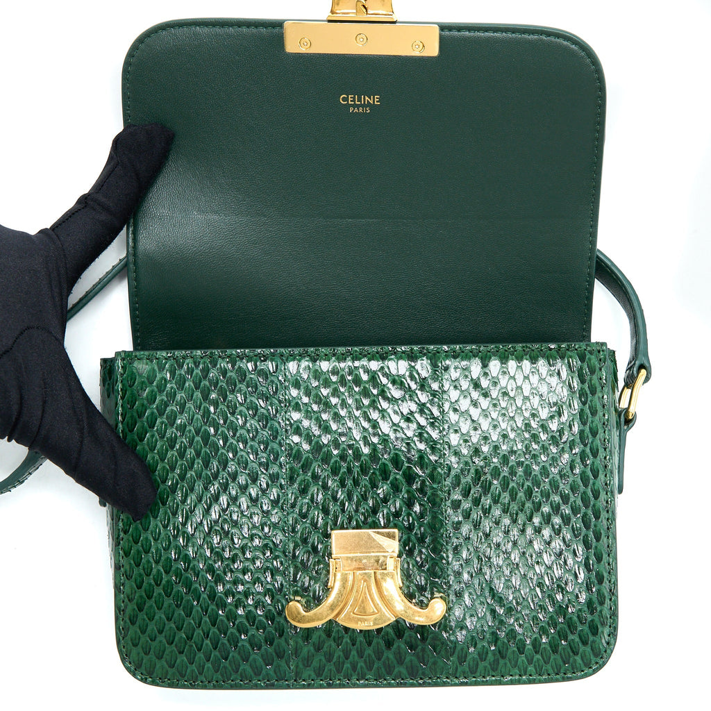 CELINE TRIOMPHE BAG WATER SNAKE LEATHER GREEN GHW