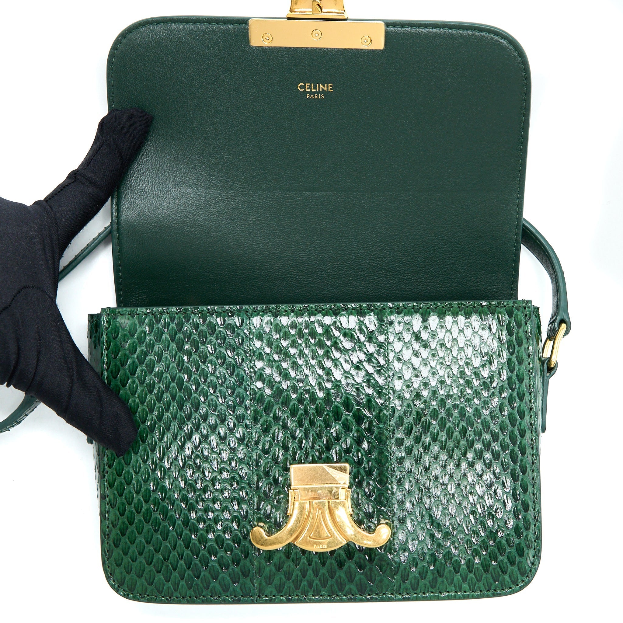 CELINE TRIOMPHE BAG WATER SNAKE LEATHER GREEN GHW