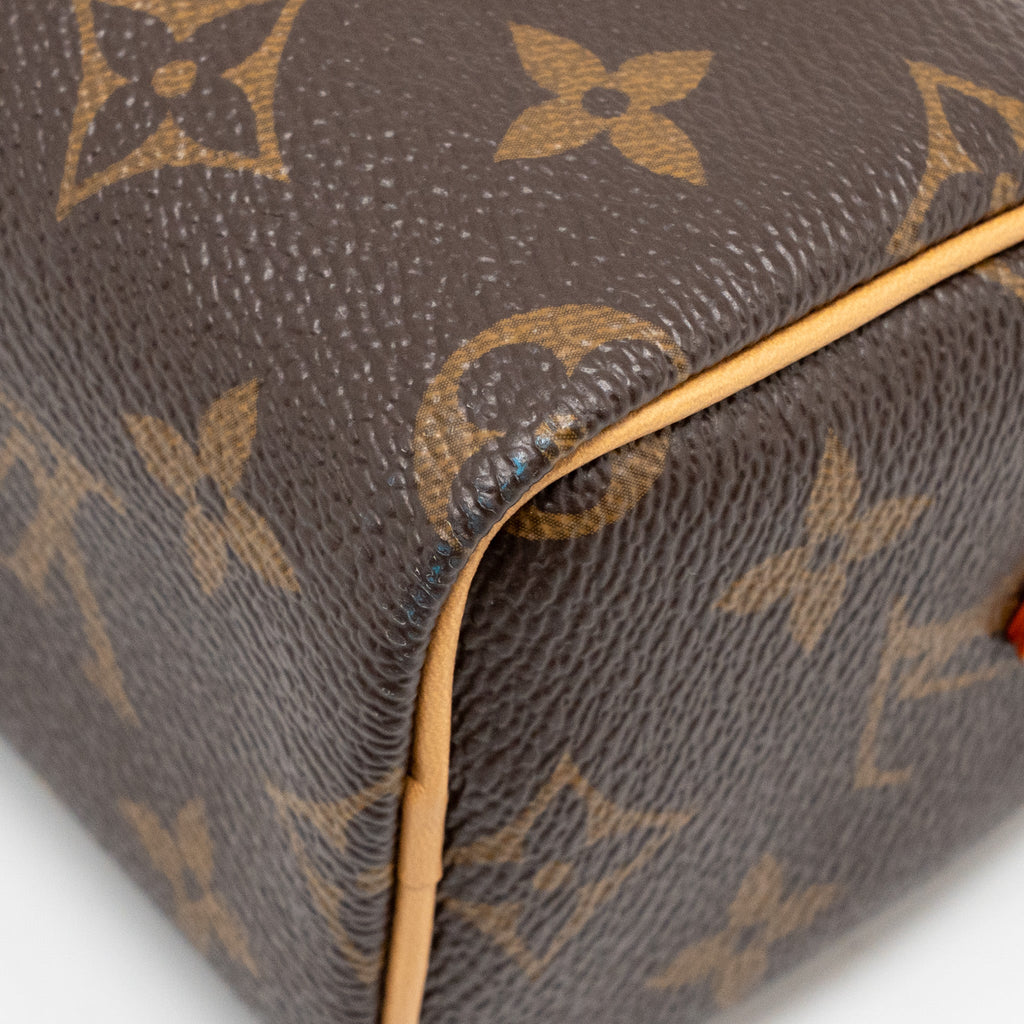 LOUIS VUITTON NANO SPEEDY MONOGRAM CANVAS GHW