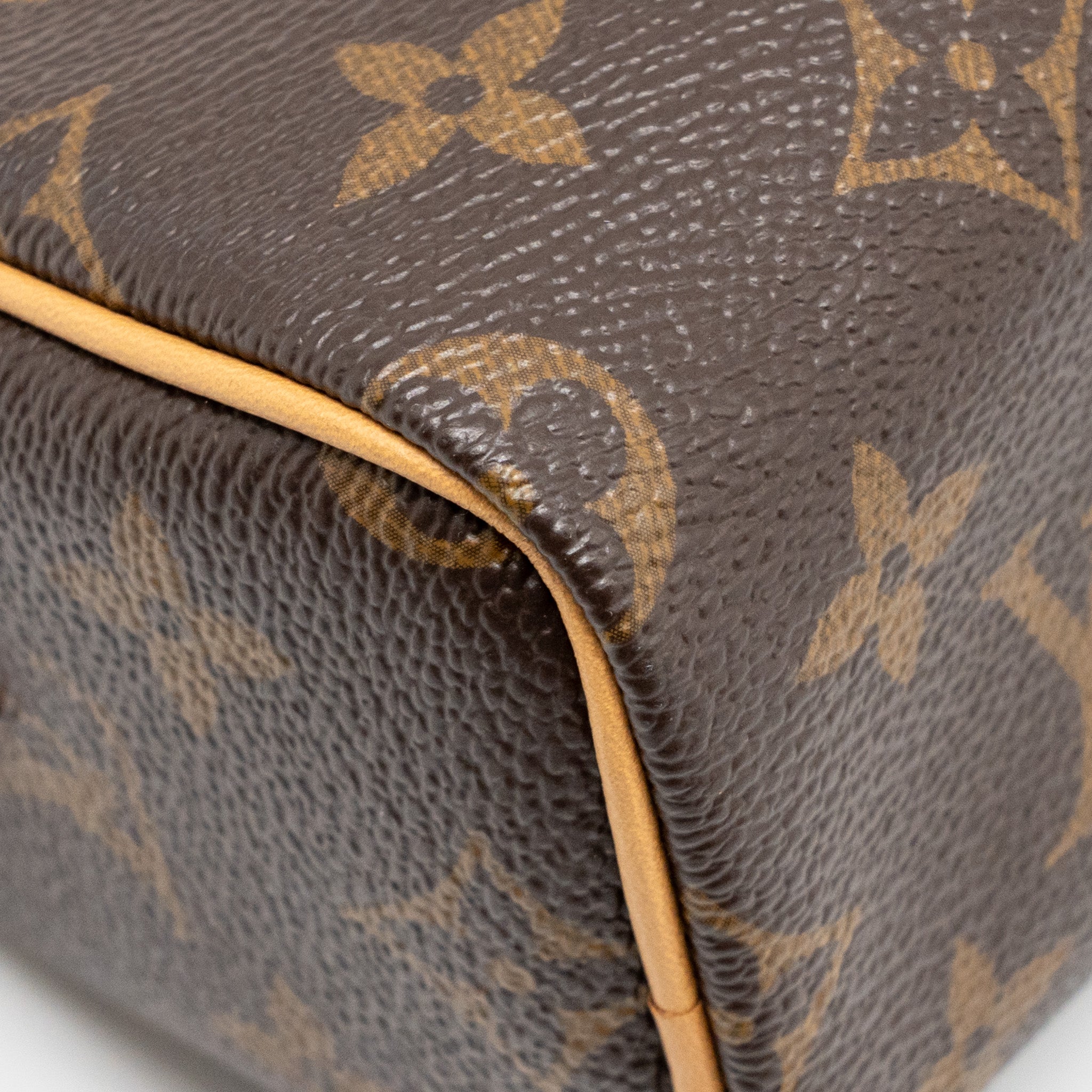 LOUIS VUITTON NANO SPEEDY MONOGRAM CANVAS GHW