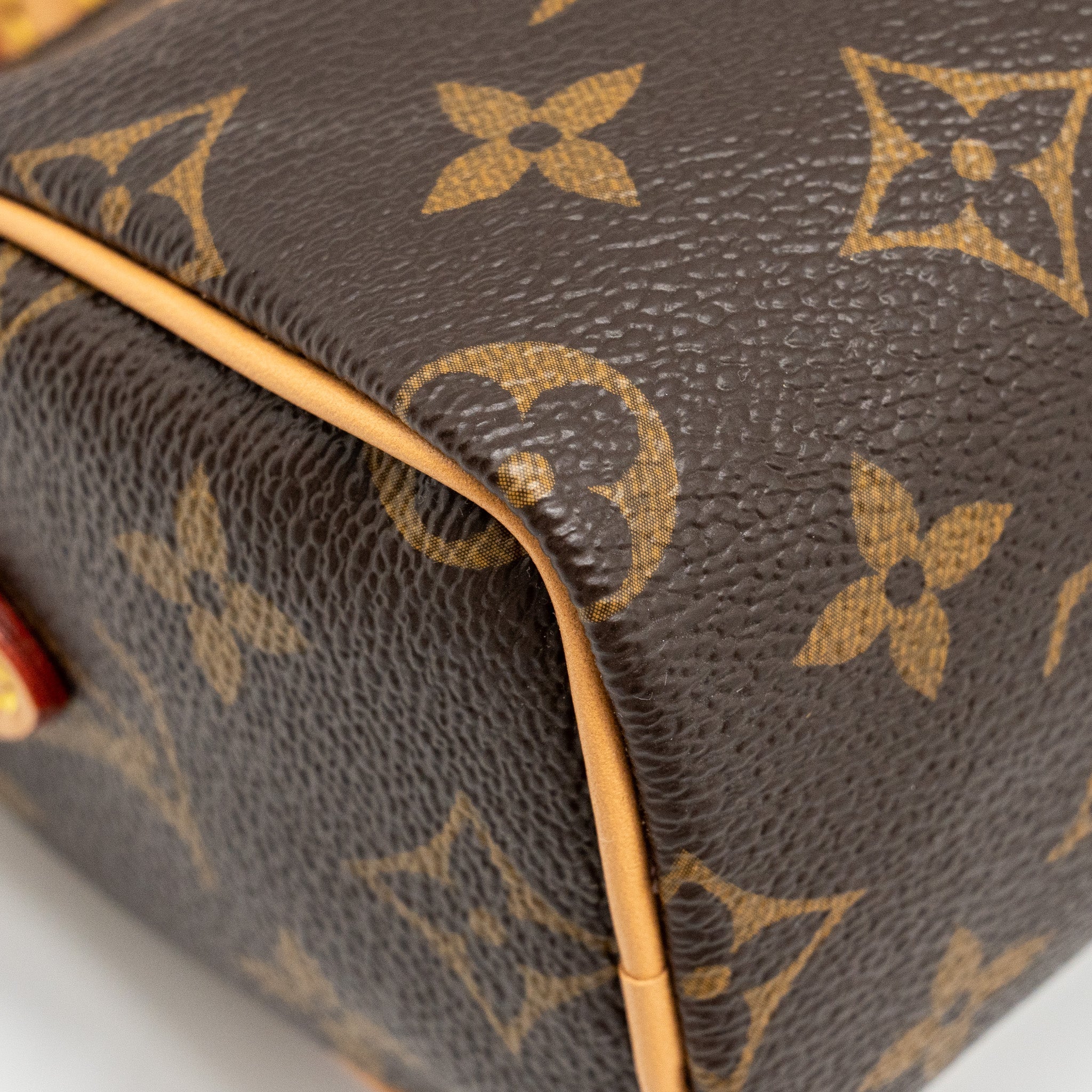 LOUIS VUITTON NANO SPEEDY VIVIENNE LIMITED EDITION MONOGRAM CANVAS GHW