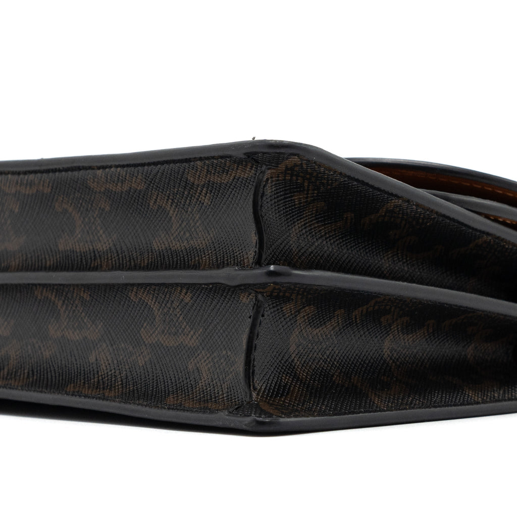 CELINE WALLET ON STRAP TRIOMPHE CANVAS/SMOOTH LAMBSKIN TAN GHW