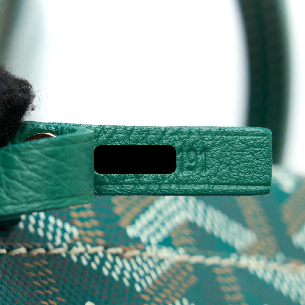 GOYARD ANJOU MINI BAG CANVAS/CALFSKIN GREEN SHW