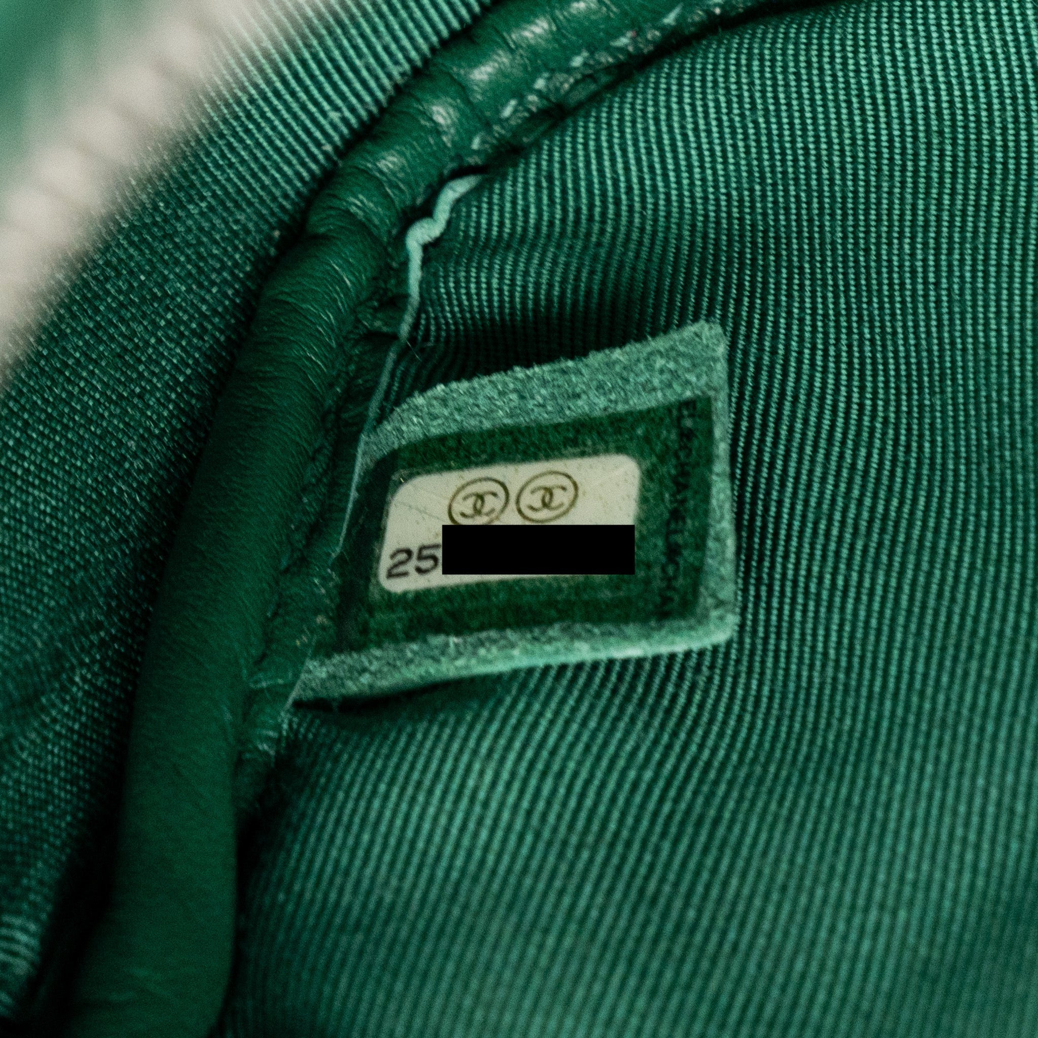CHANEL SMALL CAMERA BAG CALFSKIN GREEN SHW
