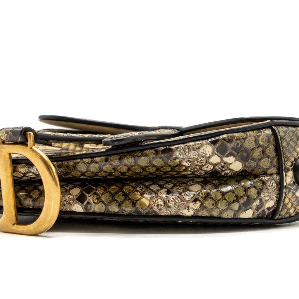 DIOR MINI SADDLE BAG PYTHON MULTICOLOUR GHW