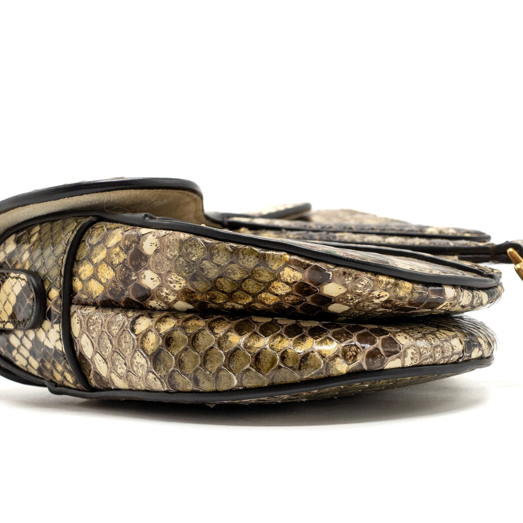 DIOR MINI SADDLE BAG PYTHON MULTICOLOUR GHW