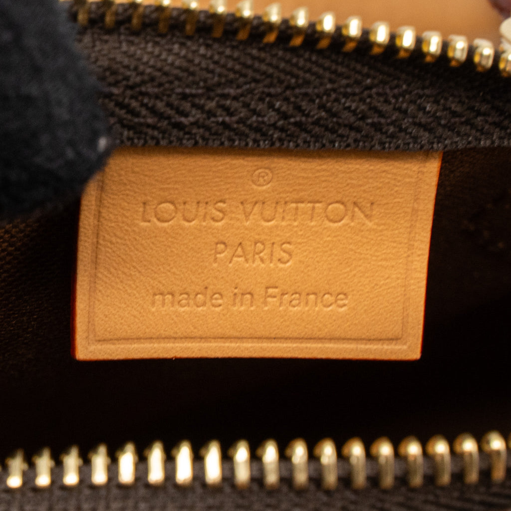 LOUIS VUITTON NANO SPEEDY MONOGRAM CANVAS GHW